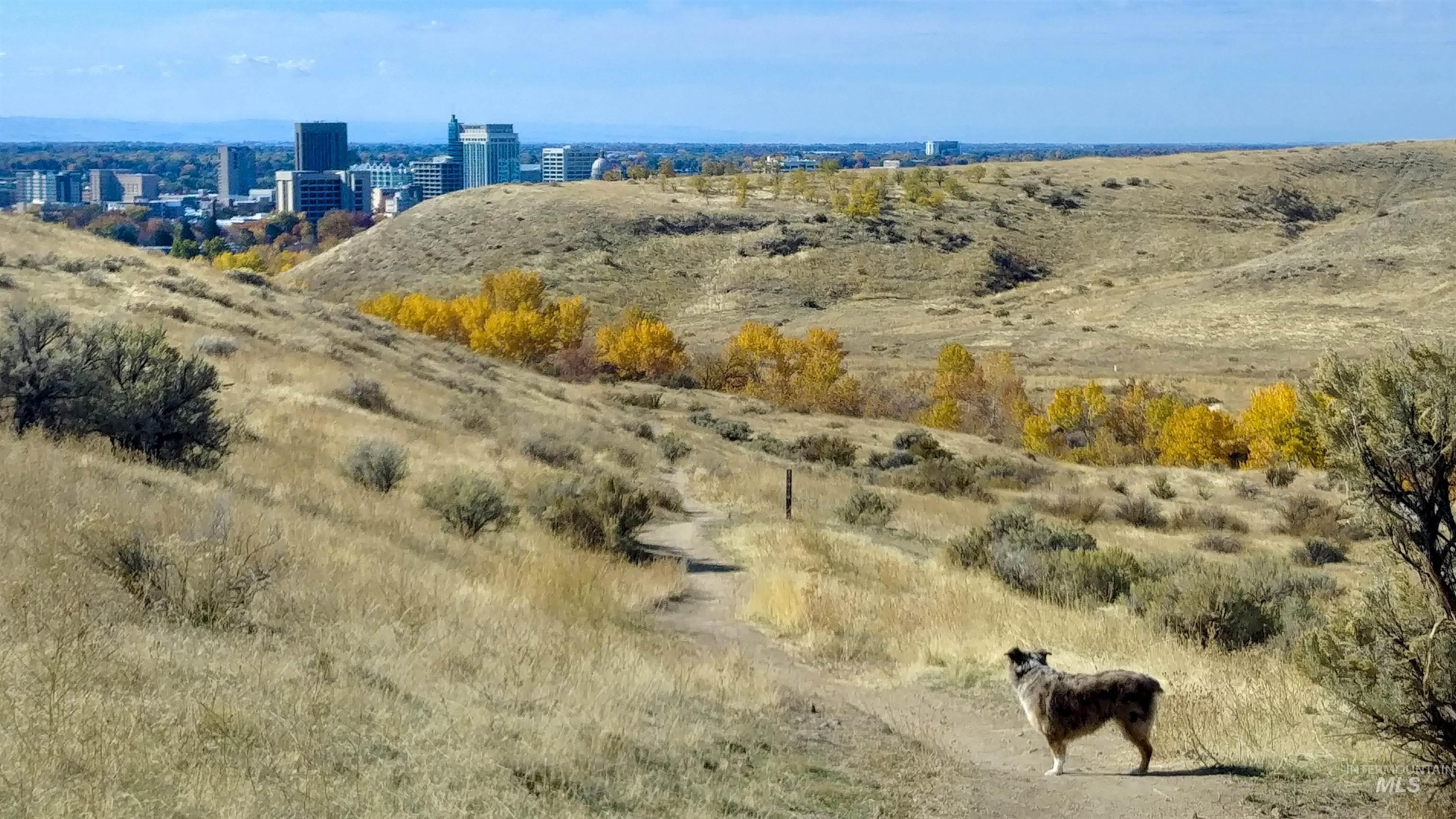 954 E Chardie Rd, Boise, Idaho 83702, Land For Sale, Price $299,000, 98928750