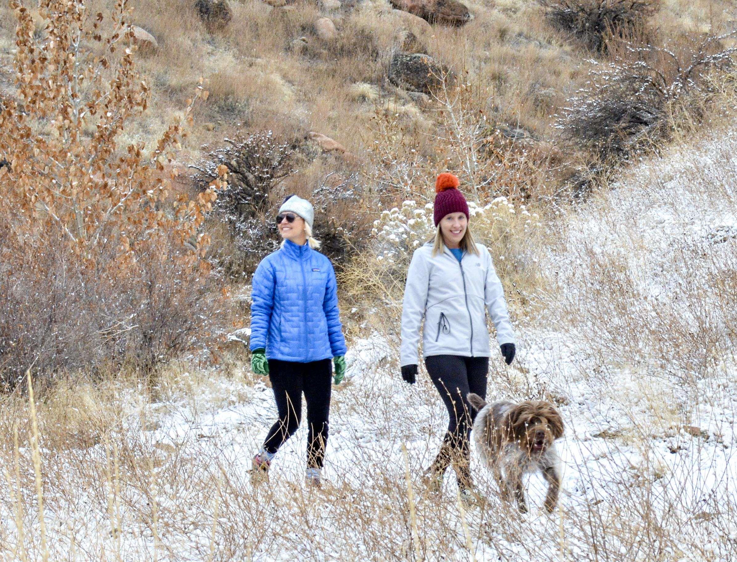 954 E Chardie Rd, Boise, Idaho 83702, Land For Sale, Price $299,000, 98928750