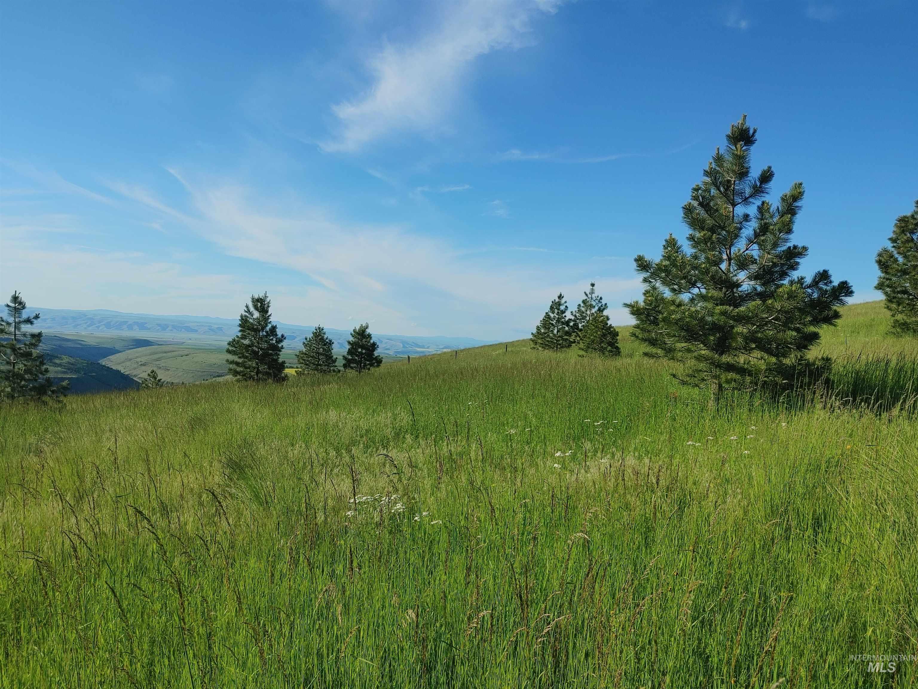 Lot B Forsman Rd, Lewiston, Idaho 83501, Land For Sale, Price $244,700,MLS 98928774