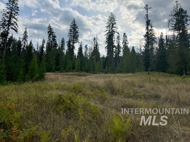 4238 Cold Springs, Orofino, Idaho 83544, Land For Sale, Price $175,000,MLS 98928776