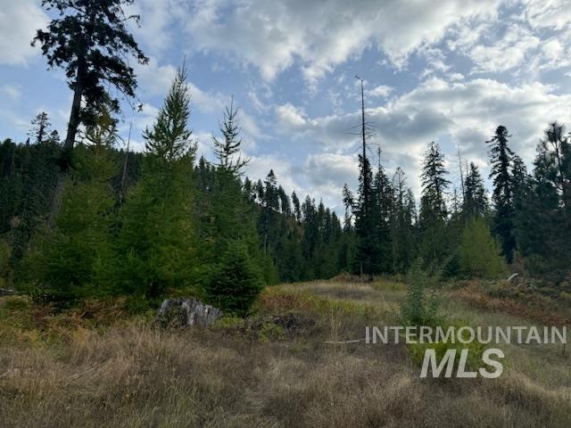 4238 Cold Springs, Orofino, Idaho 83544, Land For Sale, Price $175,000,MLS 98928776