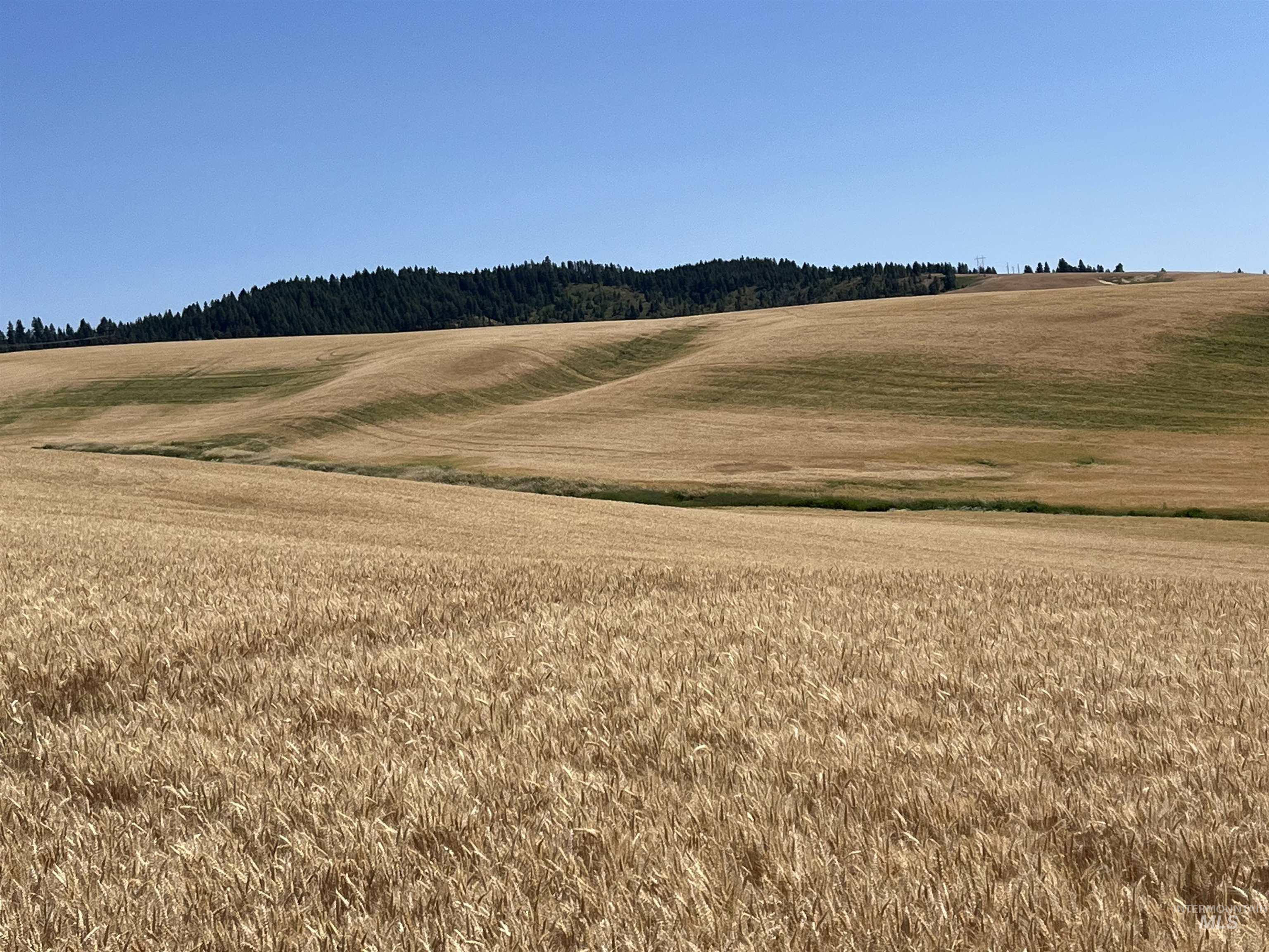 View of nature