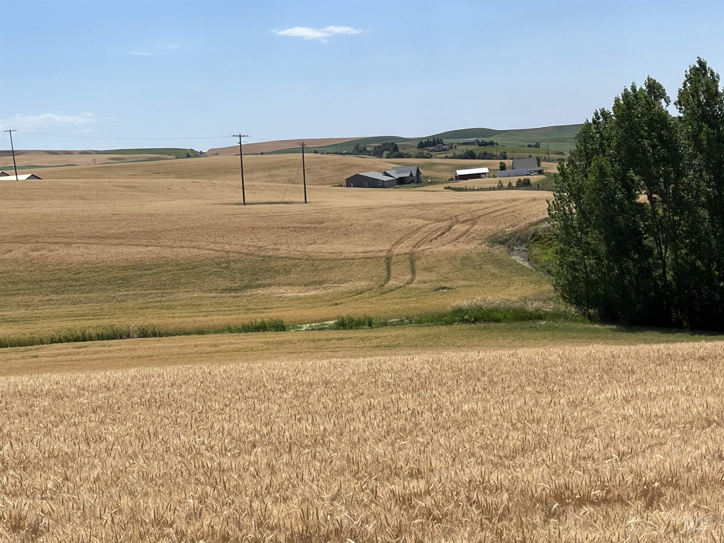 View of home's community with a view of rural / pastoral area