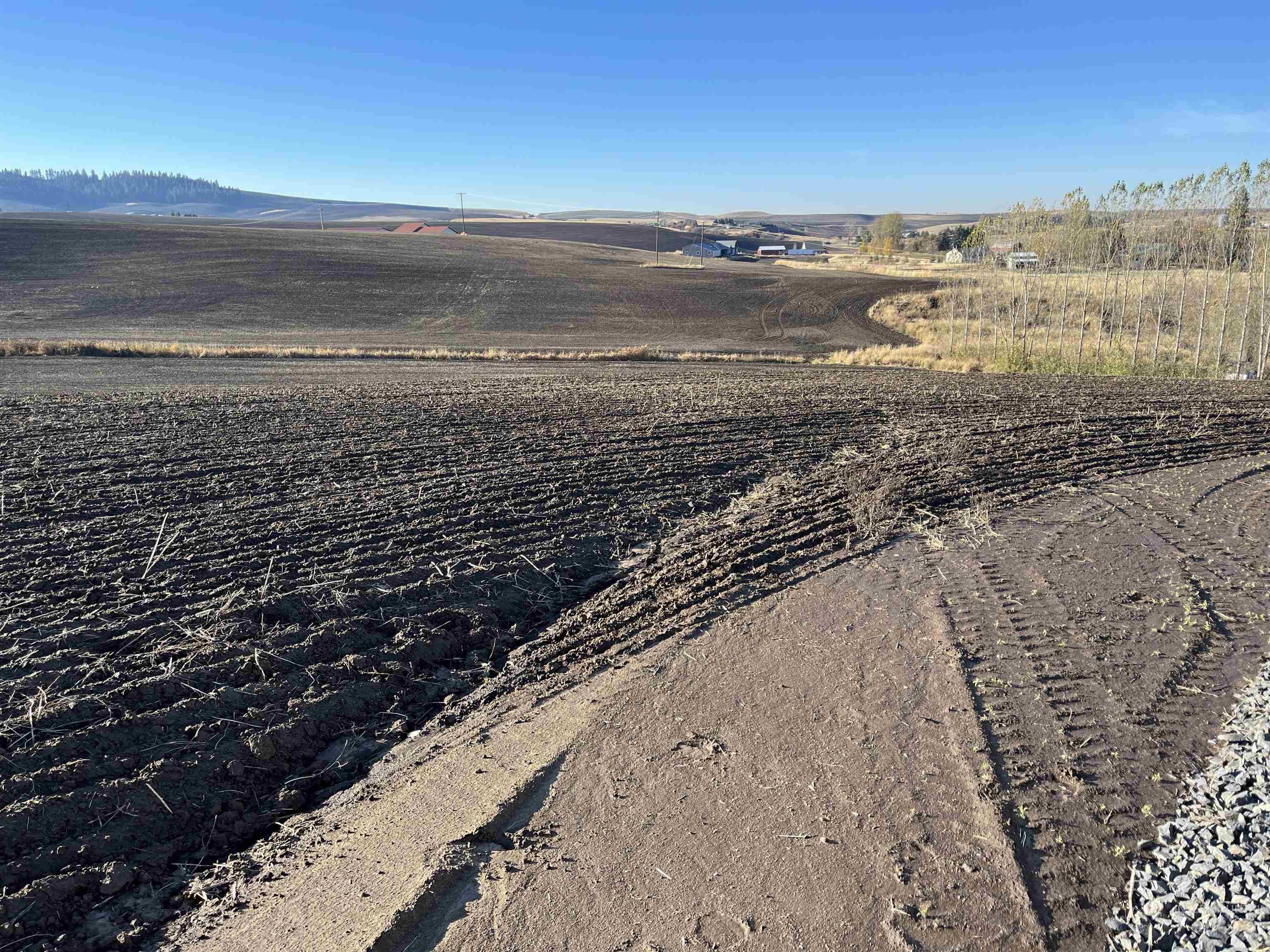 TBD Gray Lane Parcel #3, Viola, Idaho 83872, Land For Sale, Price $235,000, 98928797