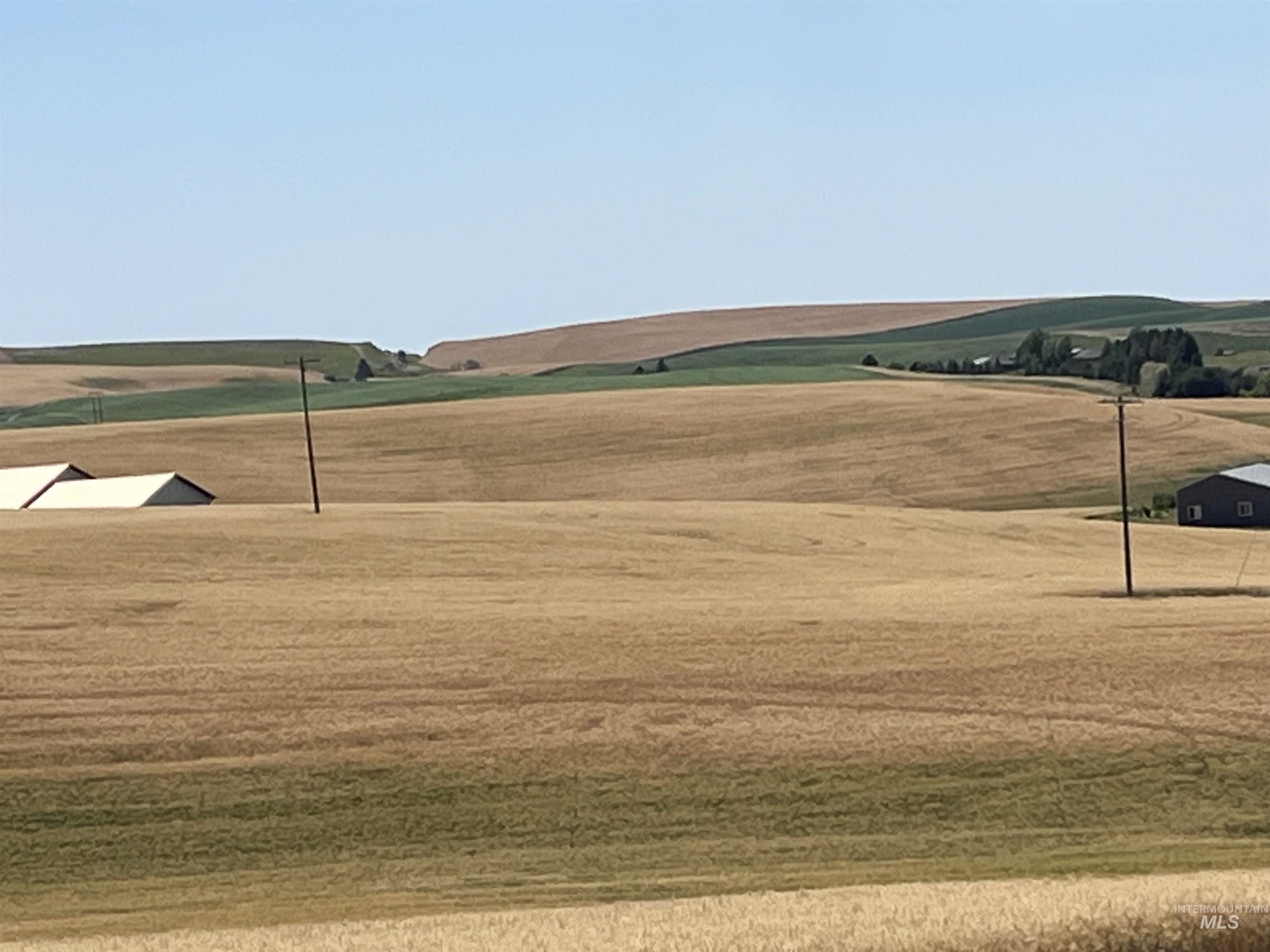 Surrounding community