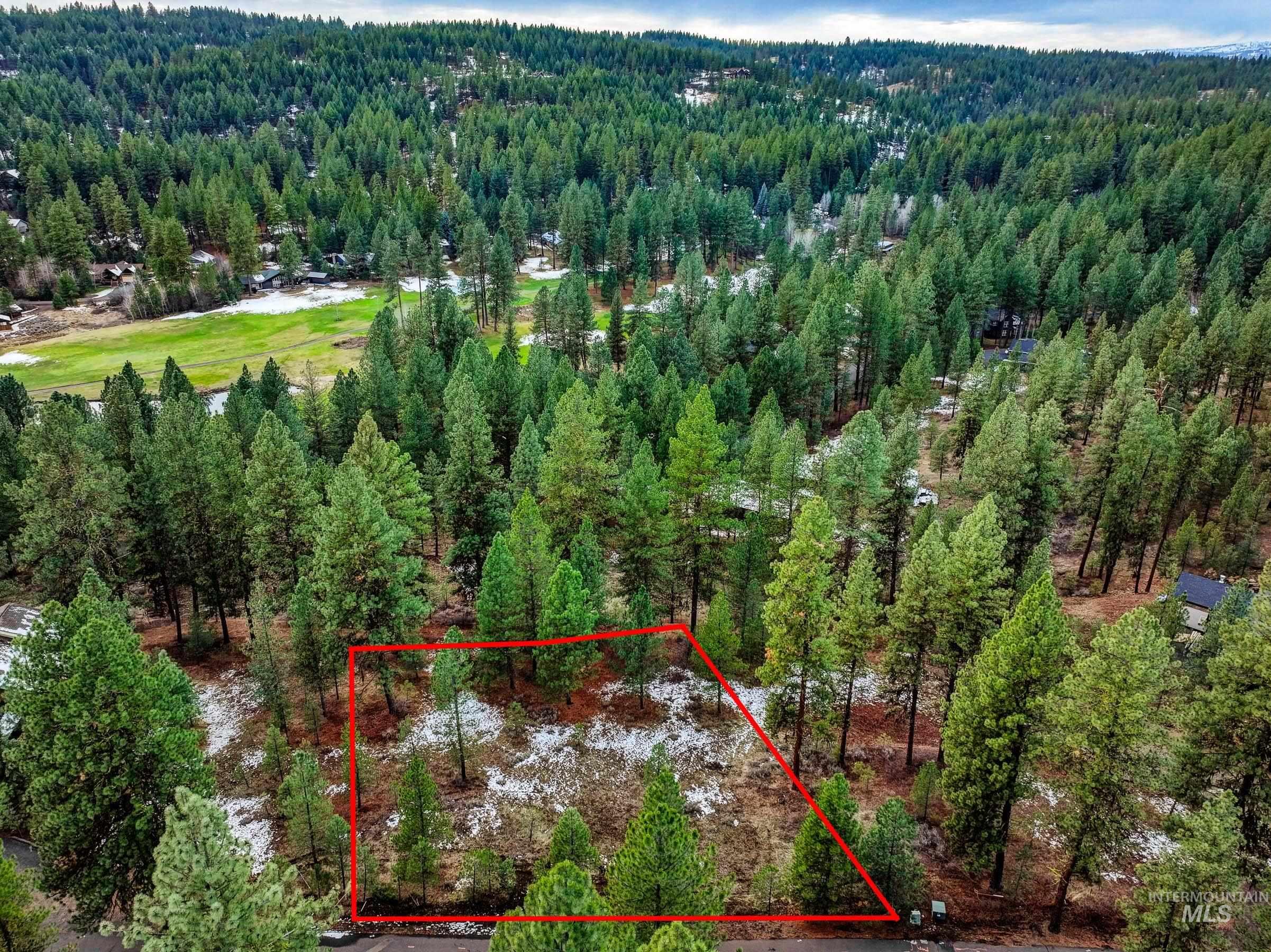 3917 Yarrow Drive, New Meadows, Idaho 83654, Land For Sale, Price $85,000, 98928906
