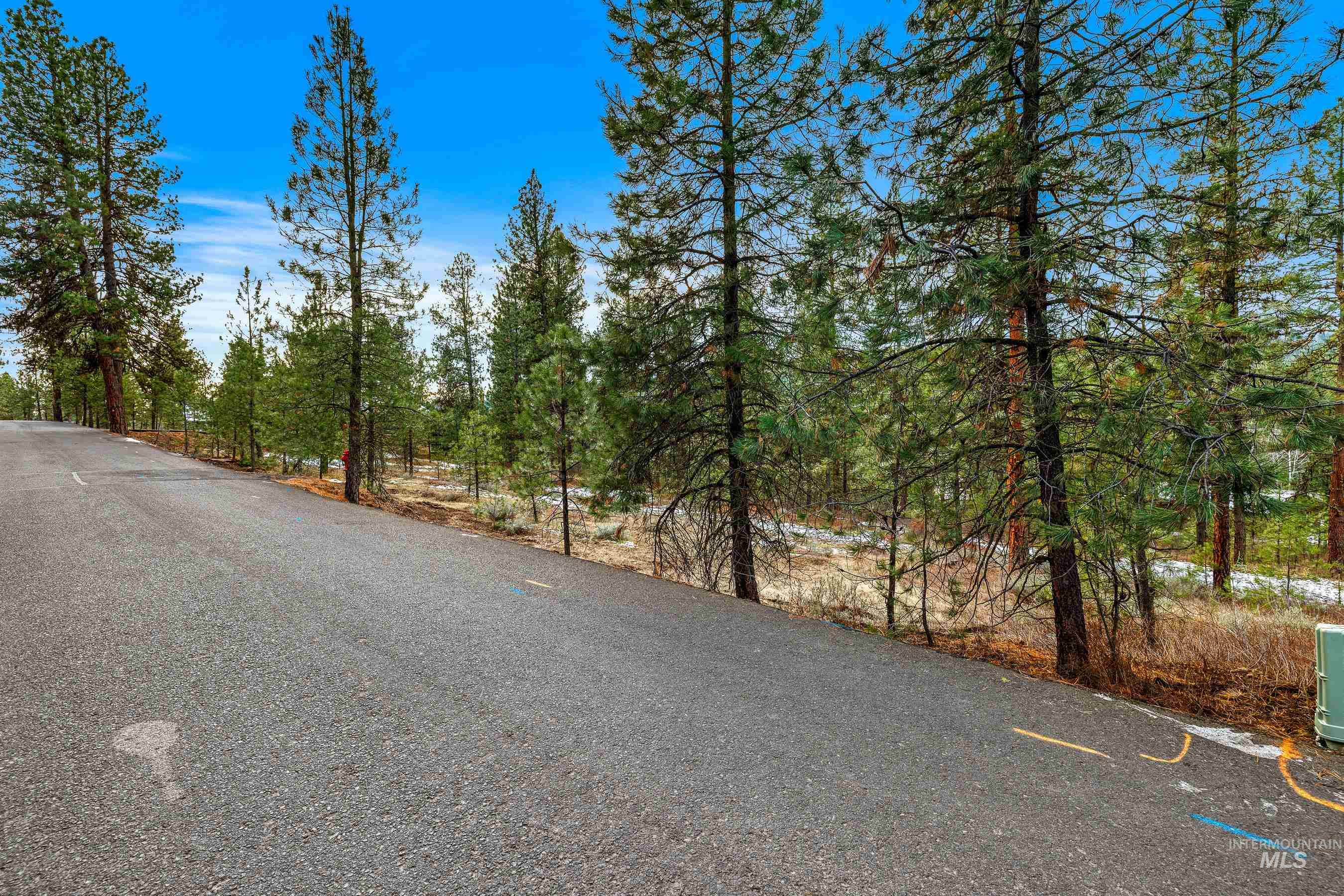 3917 Yarrow Drive, New Meadows, Idaho 83654, Land For Sale, Price $85,000, 98928906