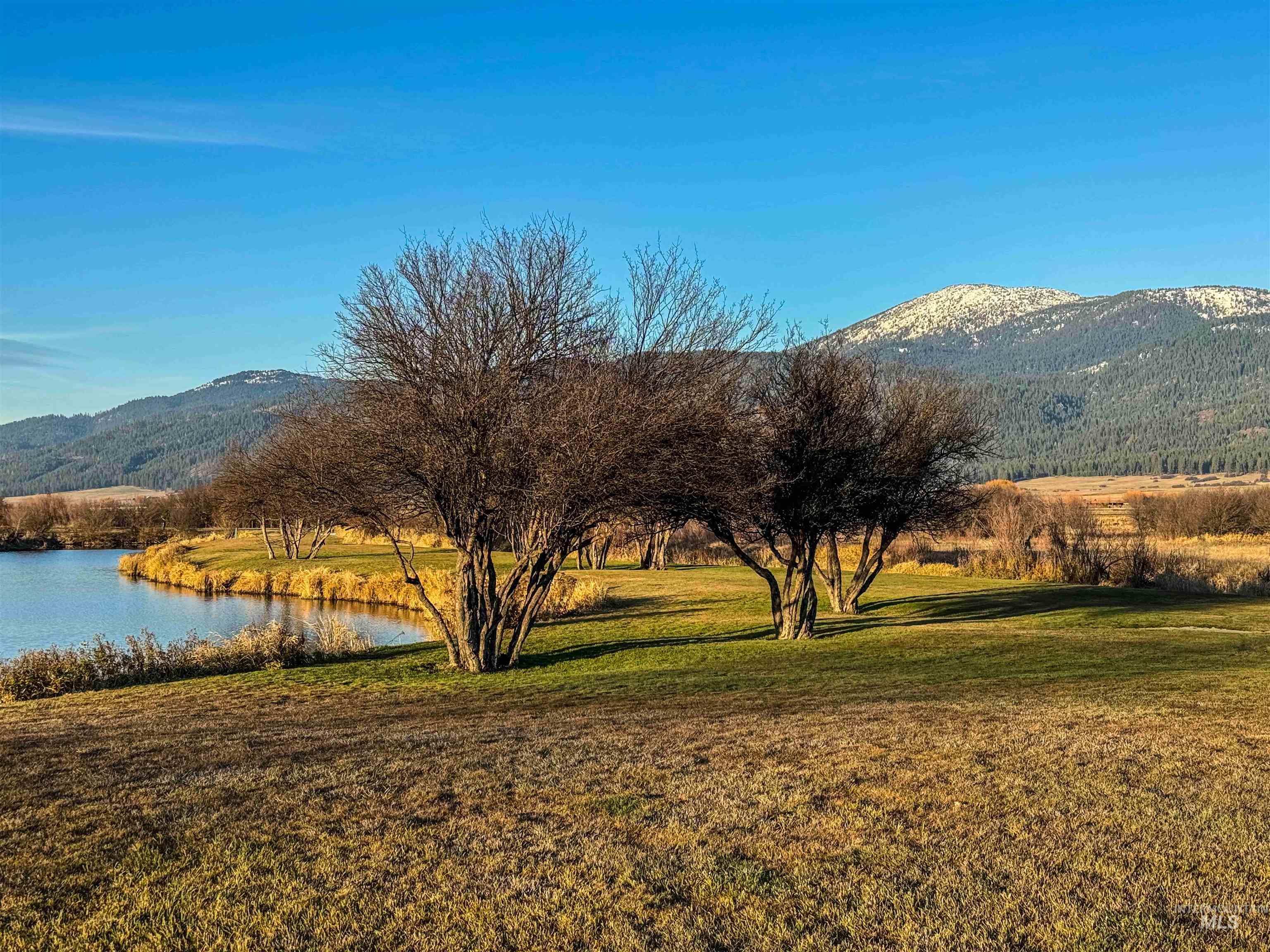 3917 Yarrow Drive, New Meadows, Idaho 83654, Land For Sale, Price $85,000, 98928906