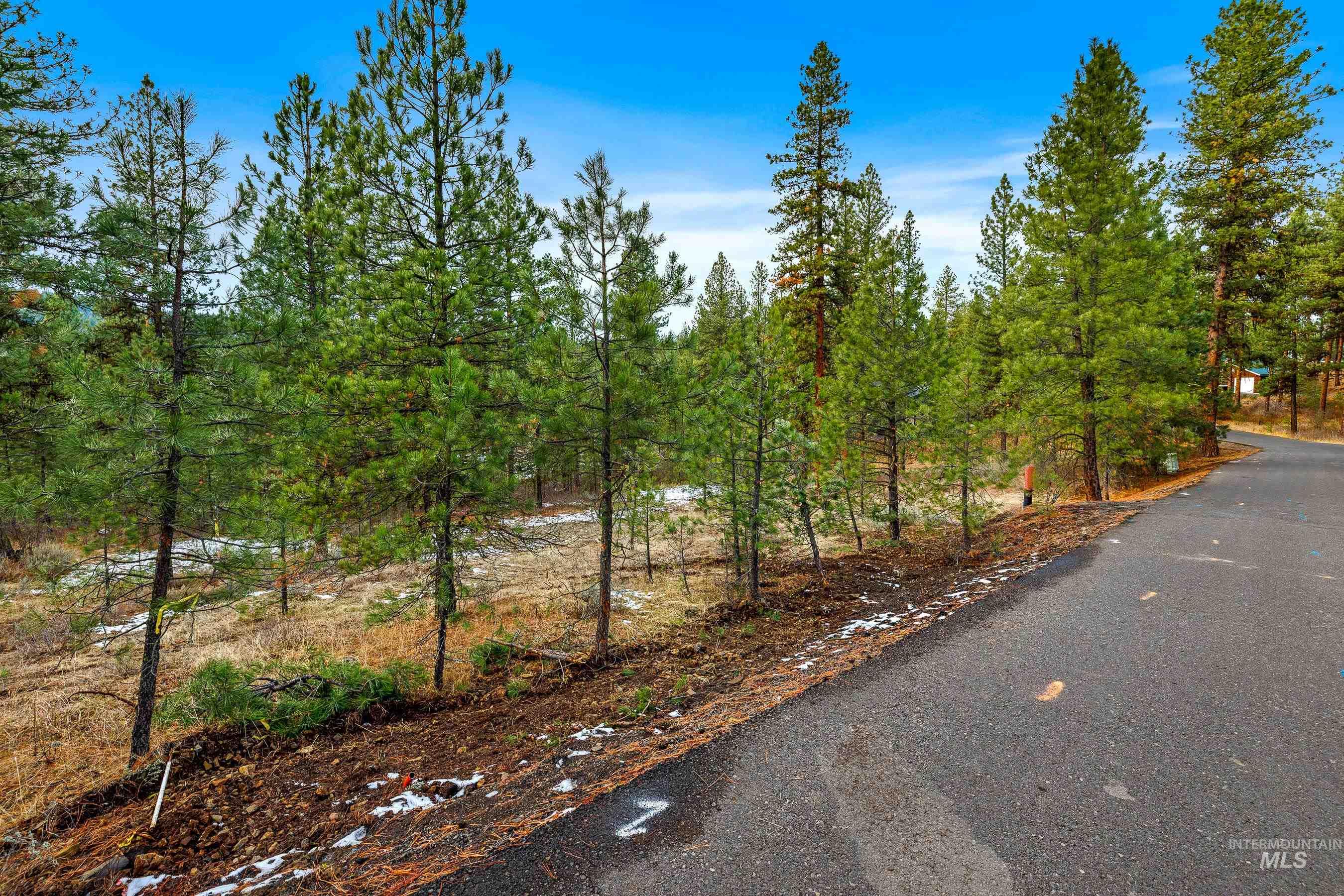 3917 Yarrow Drive, New Meadows, Idaho 83654, Land For Sale, Price $85,000, 98928906