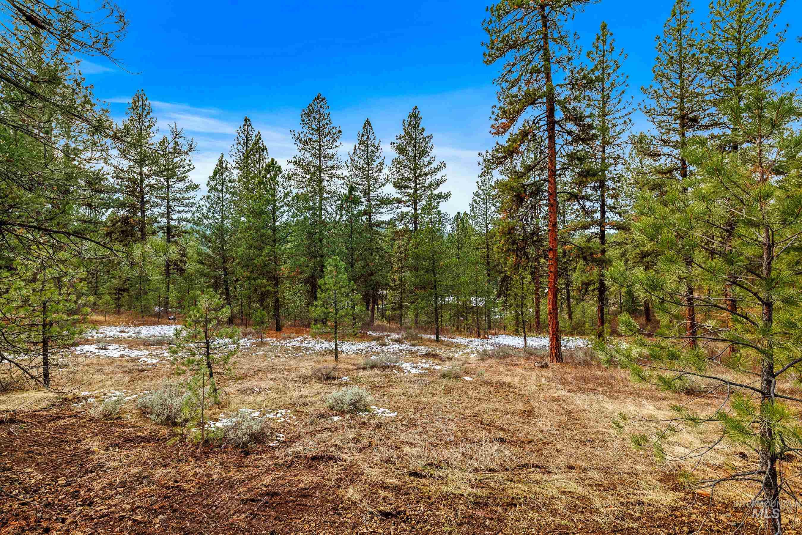 3917 Yarrow Drive, New Meadows, Idaho 83654, Land For Sale, Price $85,000, 98928906
