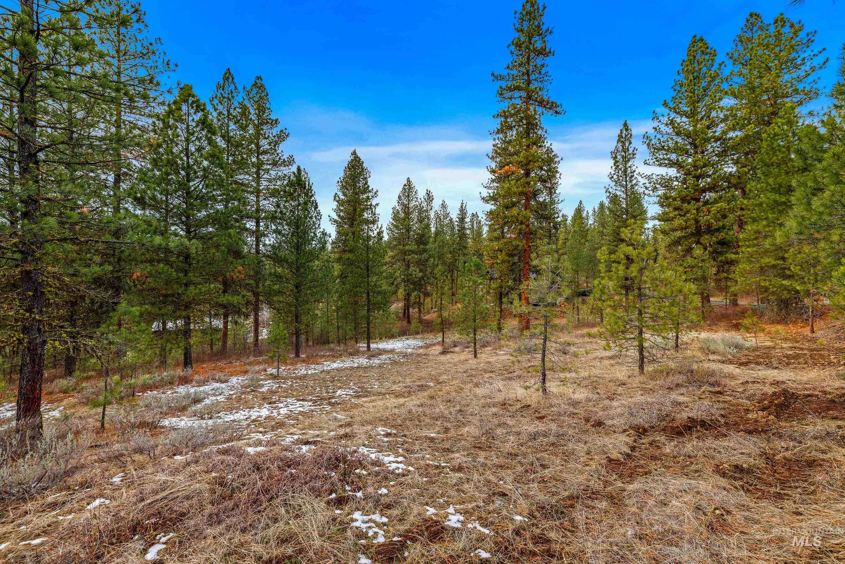 3917 Yarrow Drive, New Meadows, Idaho 83654, Land For Sale, Price $85,000, 98928906