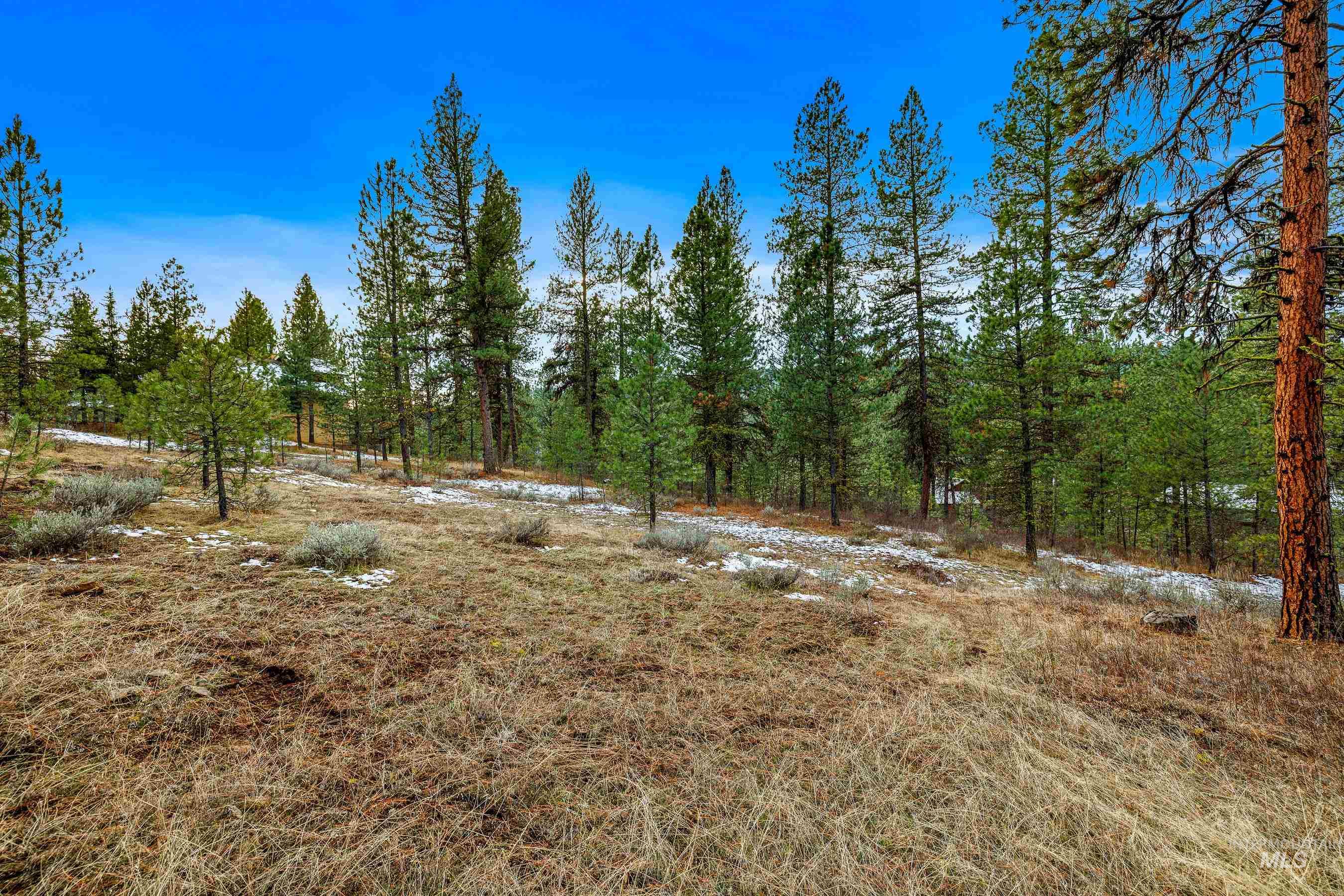 3917 Yarrow Drive, New Meadows, Idaho 83654, Land For Sale, Price $85,000, 98928906