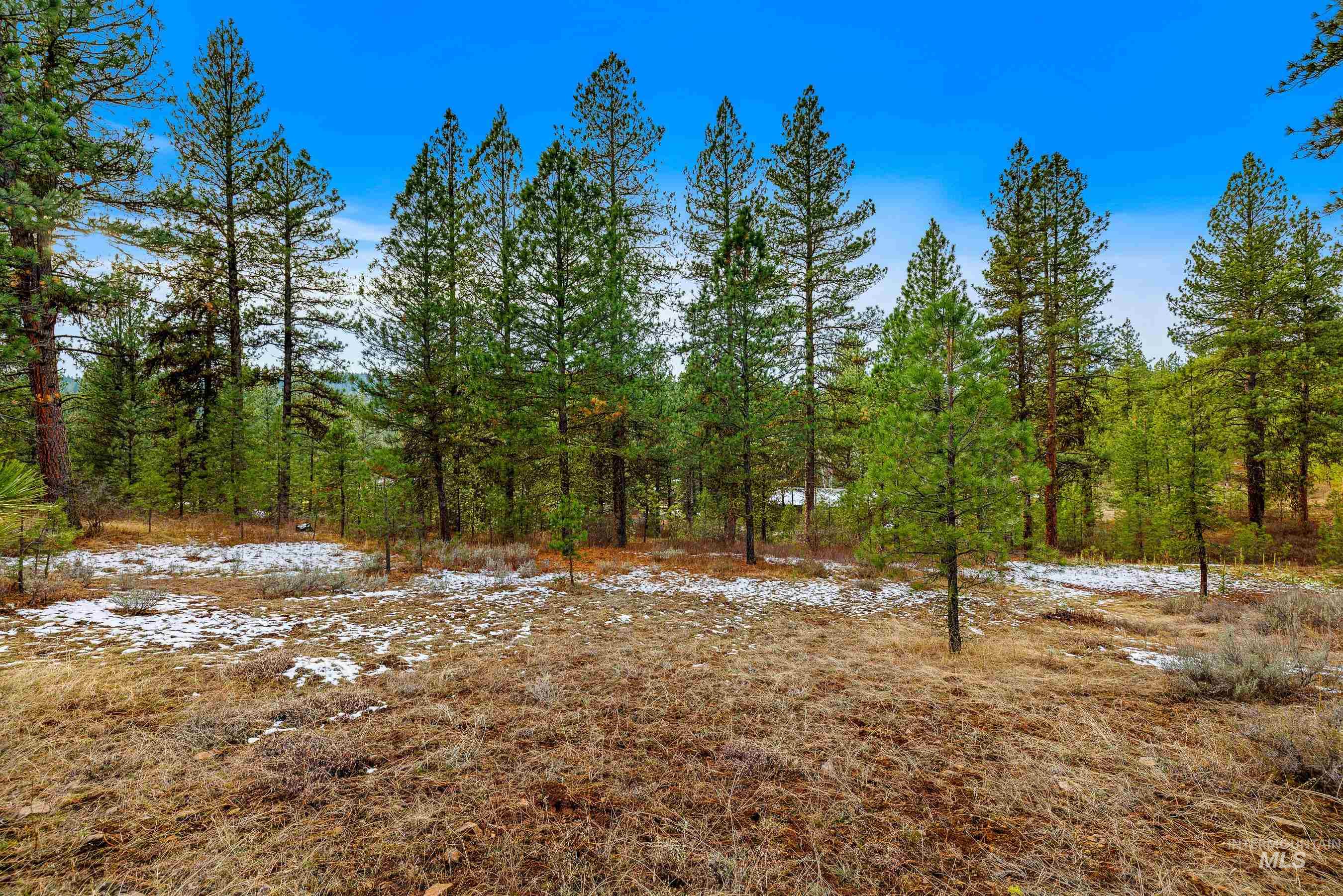 3917 Yarrow Drive, New Meadows, Idaho 83654, Land For Sale, Price $85,000, 98928906