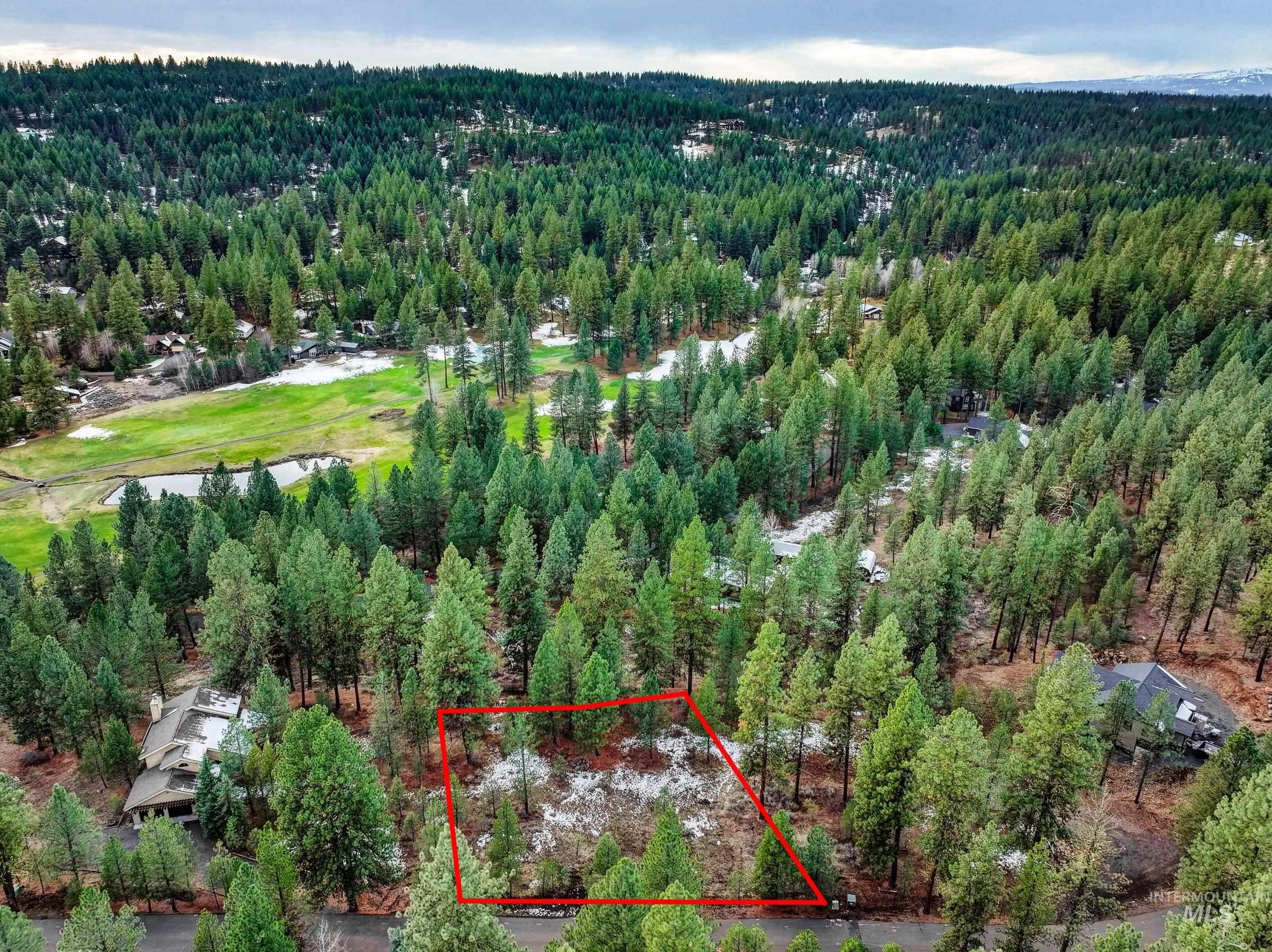 3917 Yarrow Drive, New Meadows, Idaho 83654, Land For Sale, Price $85,000, 98928906