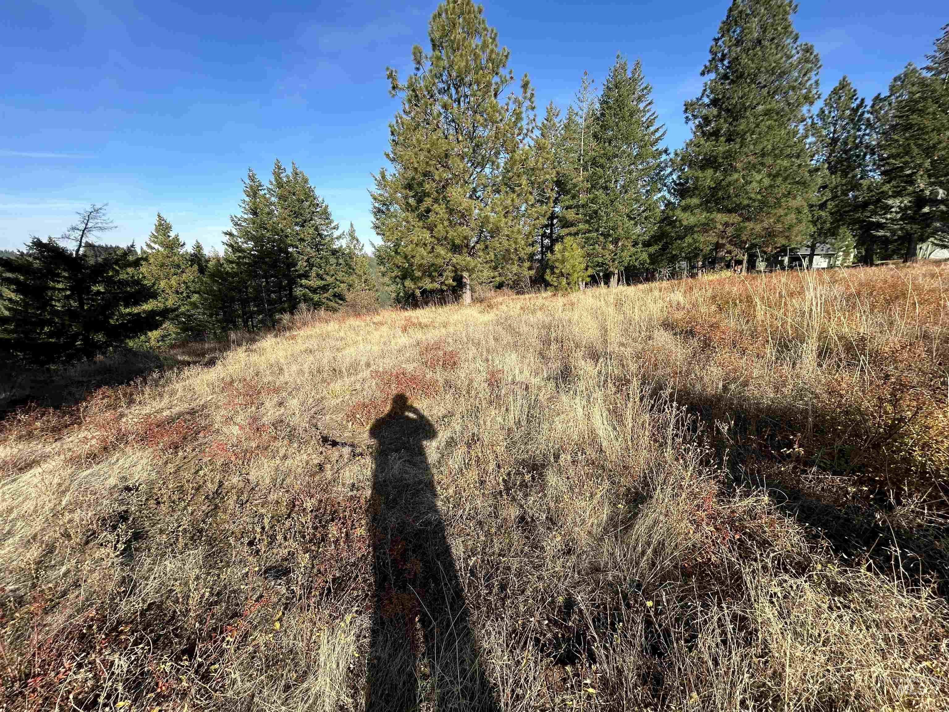 30478 W Juniper Cir, Worley, Idaho 83876, Land For Sale, Price $374,900,MLS 98928908