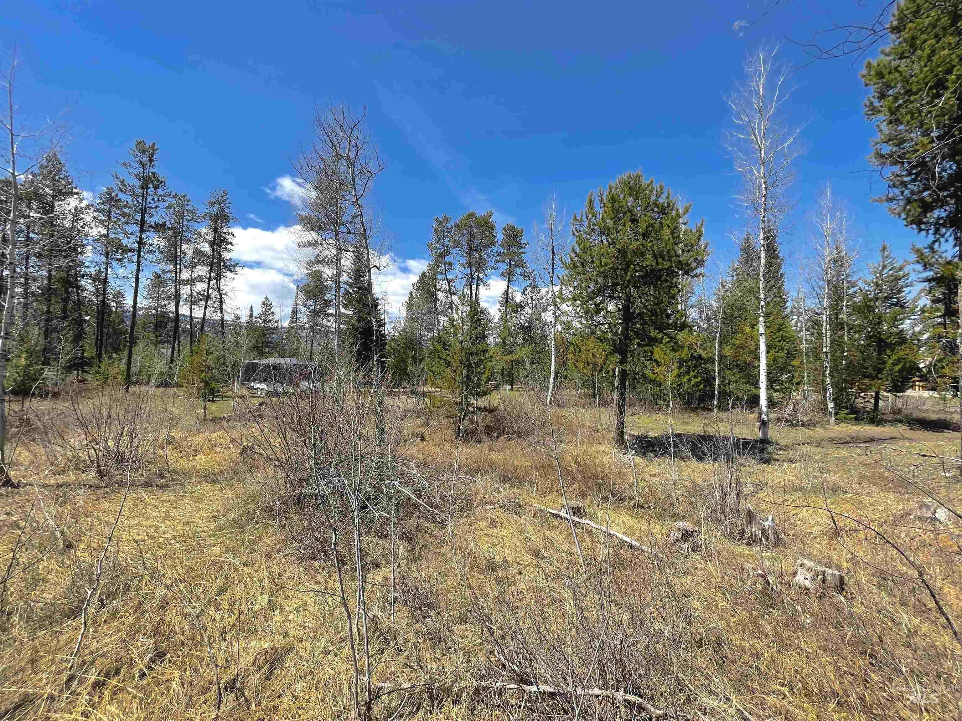 897 W Roseberry, Donnelly, Idaho 83615, Land For Sale, Price $269,900,MLS 98929031