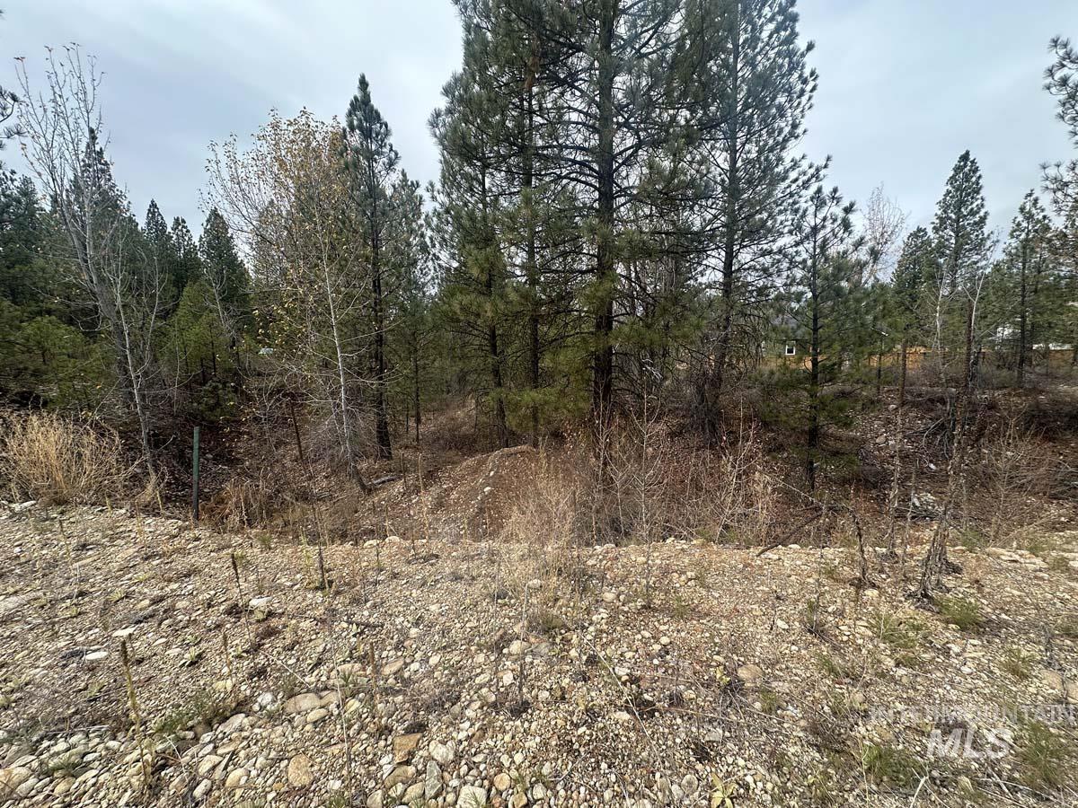 Lily Loop, Idaho City, Idaho 83631, Land For Sale, Price $70,000,MLS 98929065