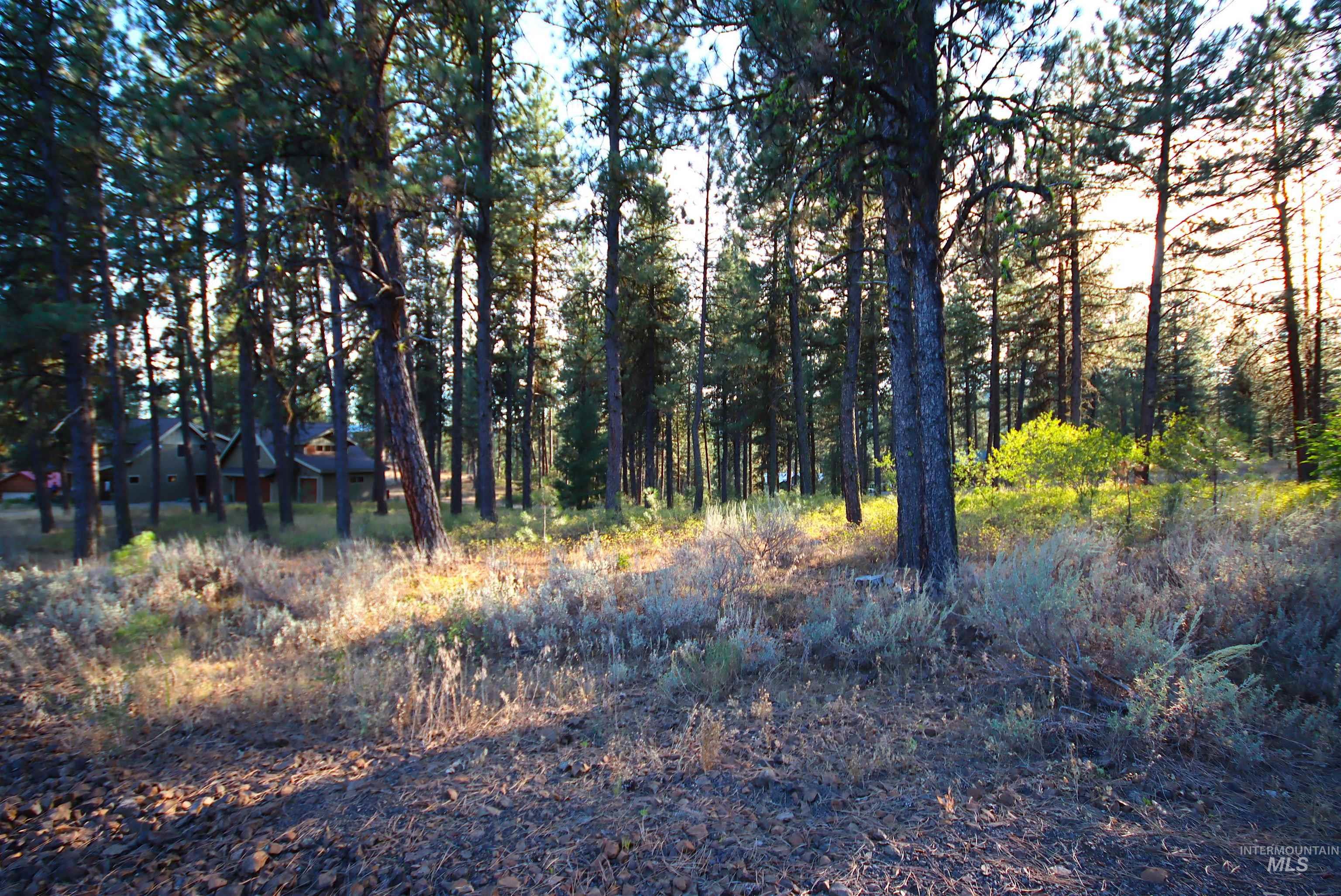 L5B4 Syringa Drive, New Meadows, Idaho 83654, Land For Sale, Price $118,500,MLS 98929104