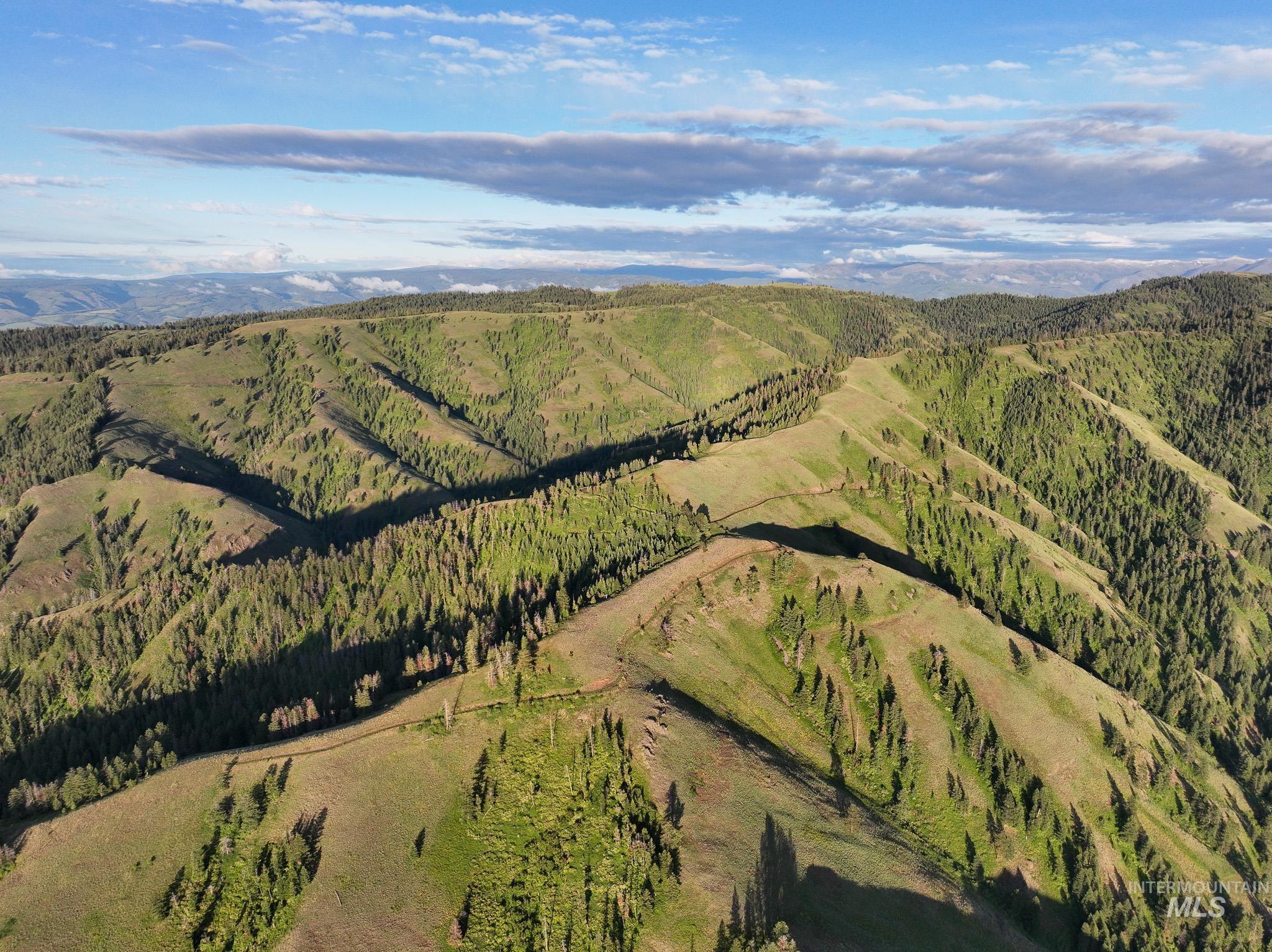 TBD High Range Road, White Bird, Idaho 83554, Land For Sale, Price $497,000, 98929125