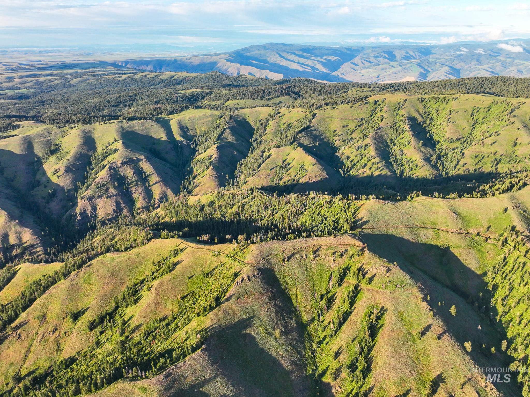 TBD High Range Road, White Bird, Idaho 83554, Land For Sale, Price $497,000, 98929125