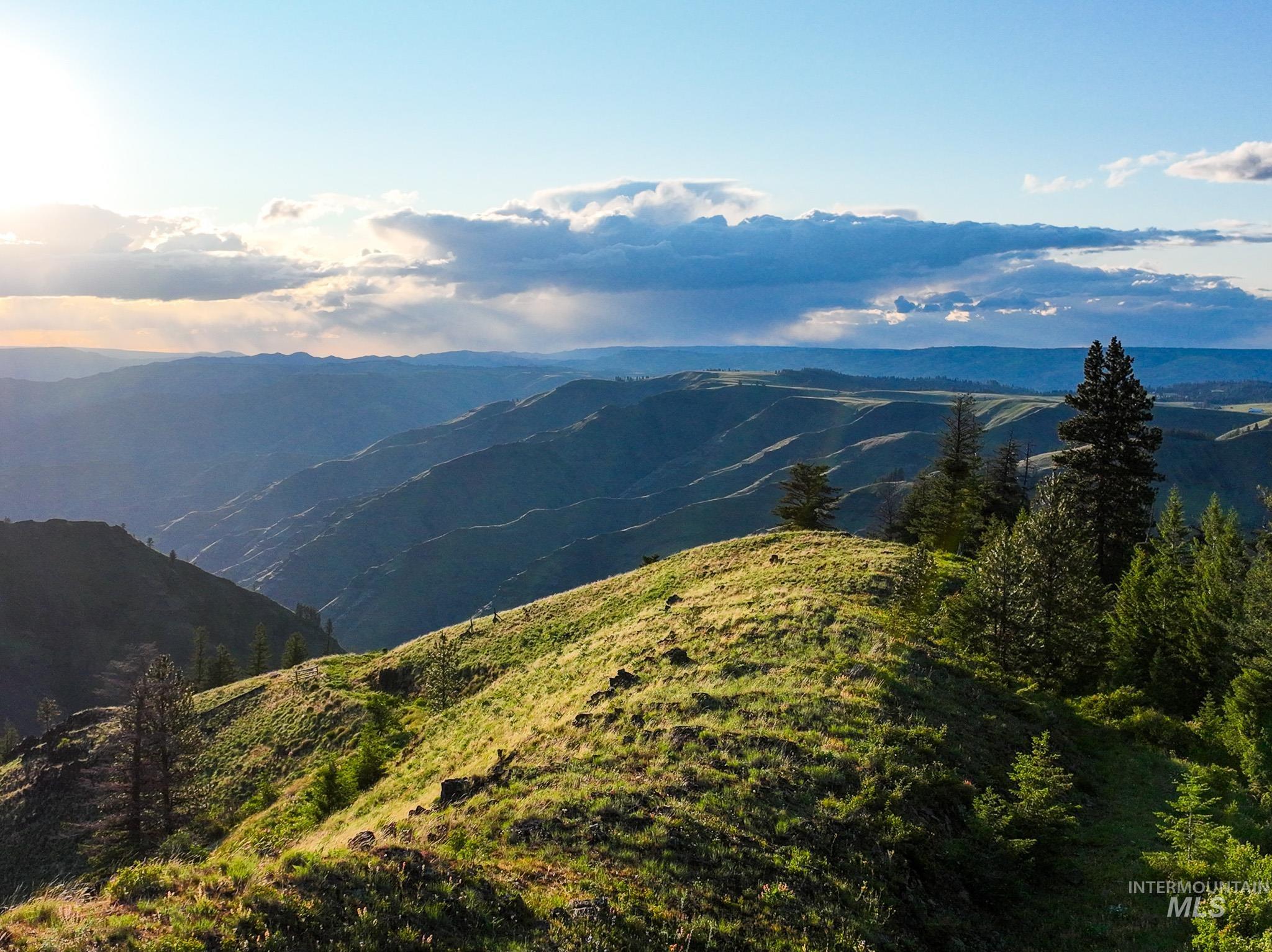 TBD High Range Road, White Bird, Idaho 83554, Land For Sale, Price $497,000, 98929125