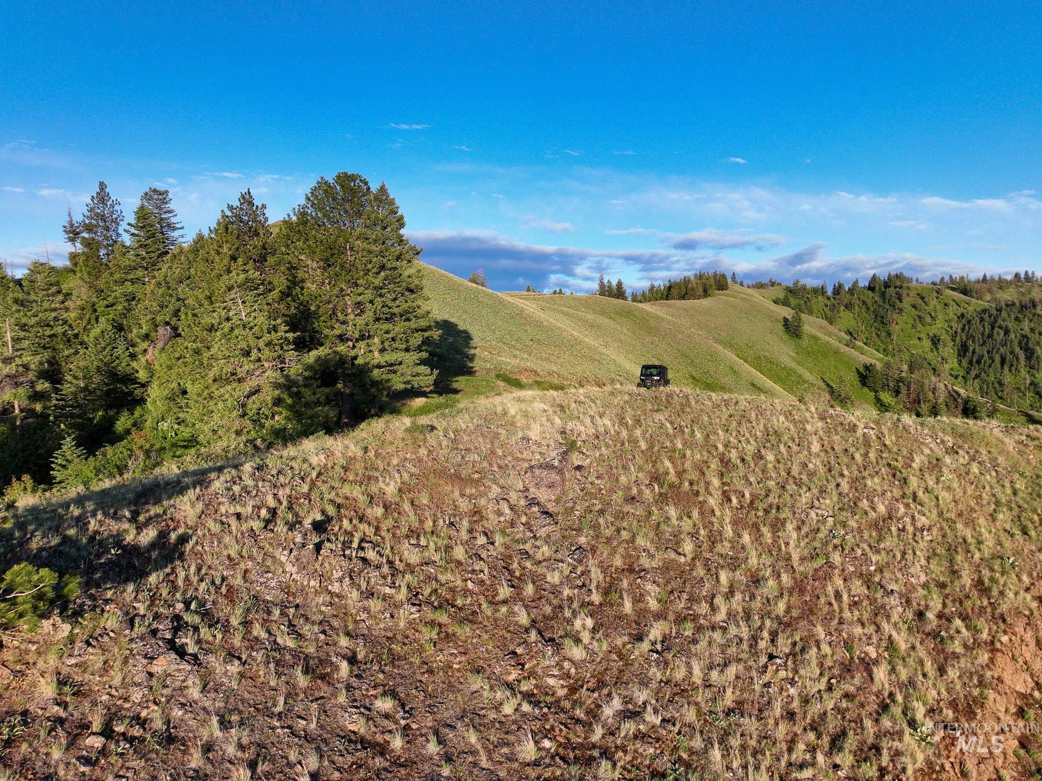 TBD High Range Road, White Bird, Idaho 83554, Land For Sale, Price $497,000, 98929125