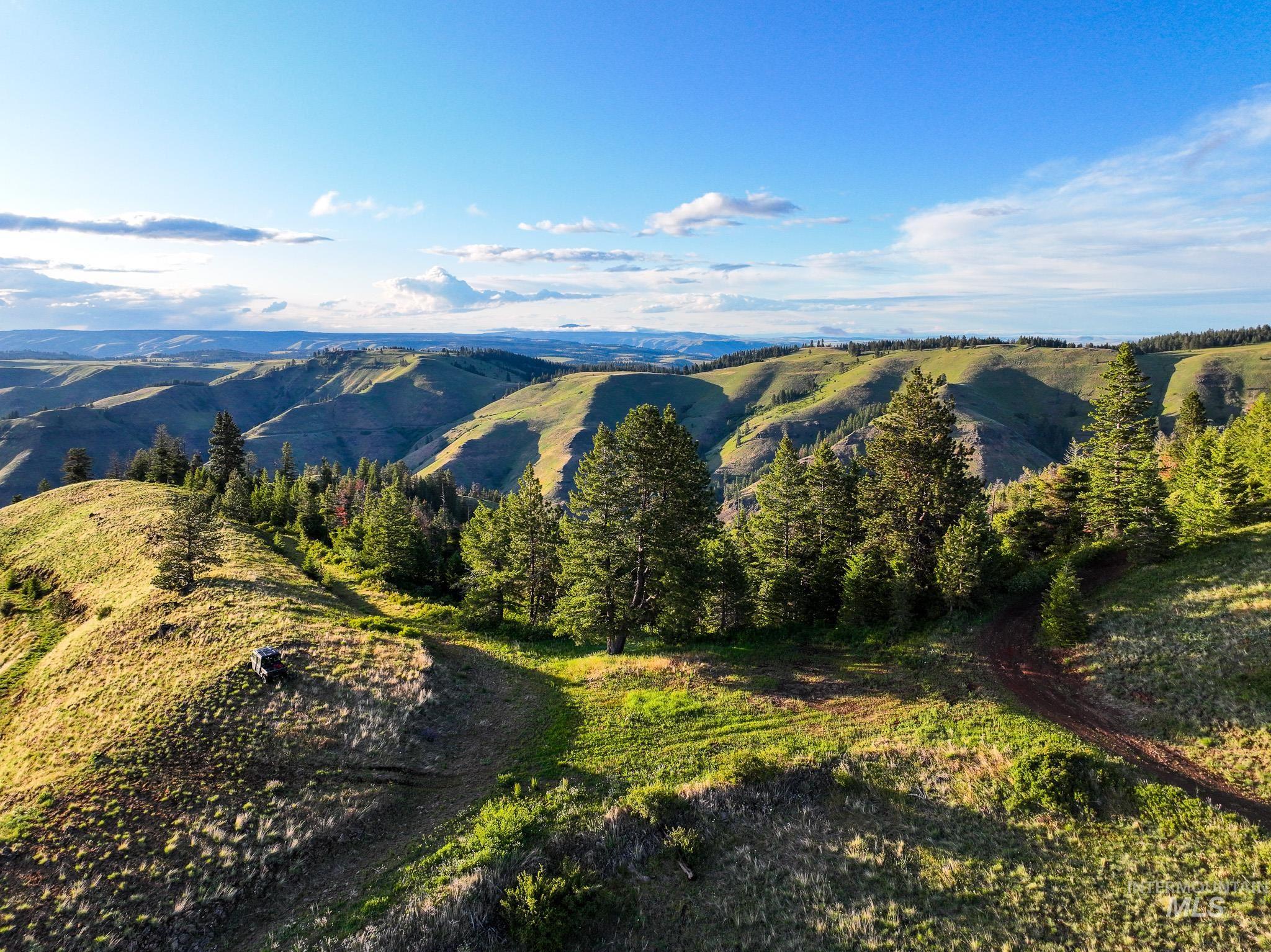 TBD High Range Road, White Bird, Idaho 83554, Land For Sale, Price $497,000, 98929125