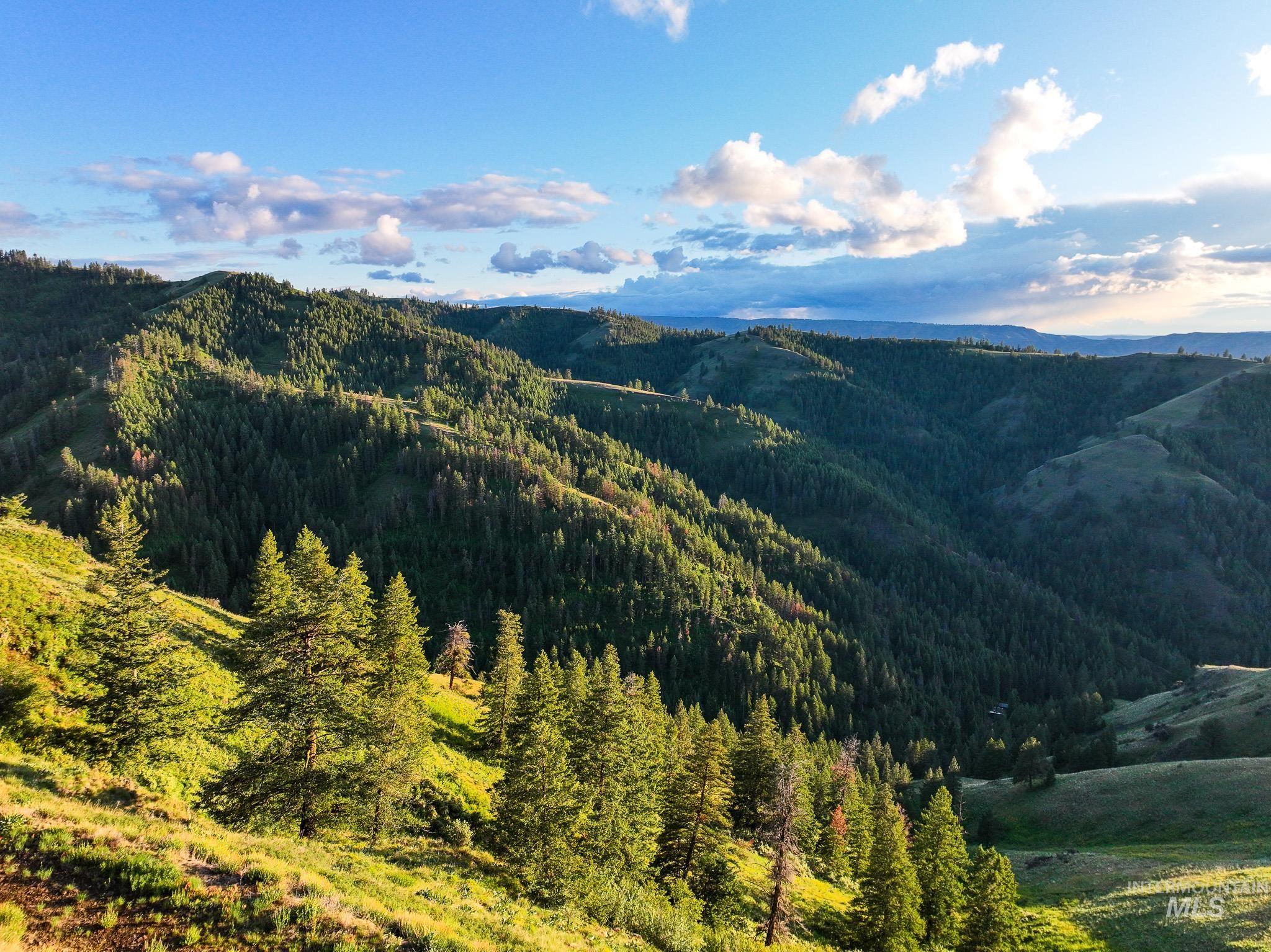 TBD High Range Road, White Bird, Idaho 83554, Land For Sale, Price $497,000, 98929125