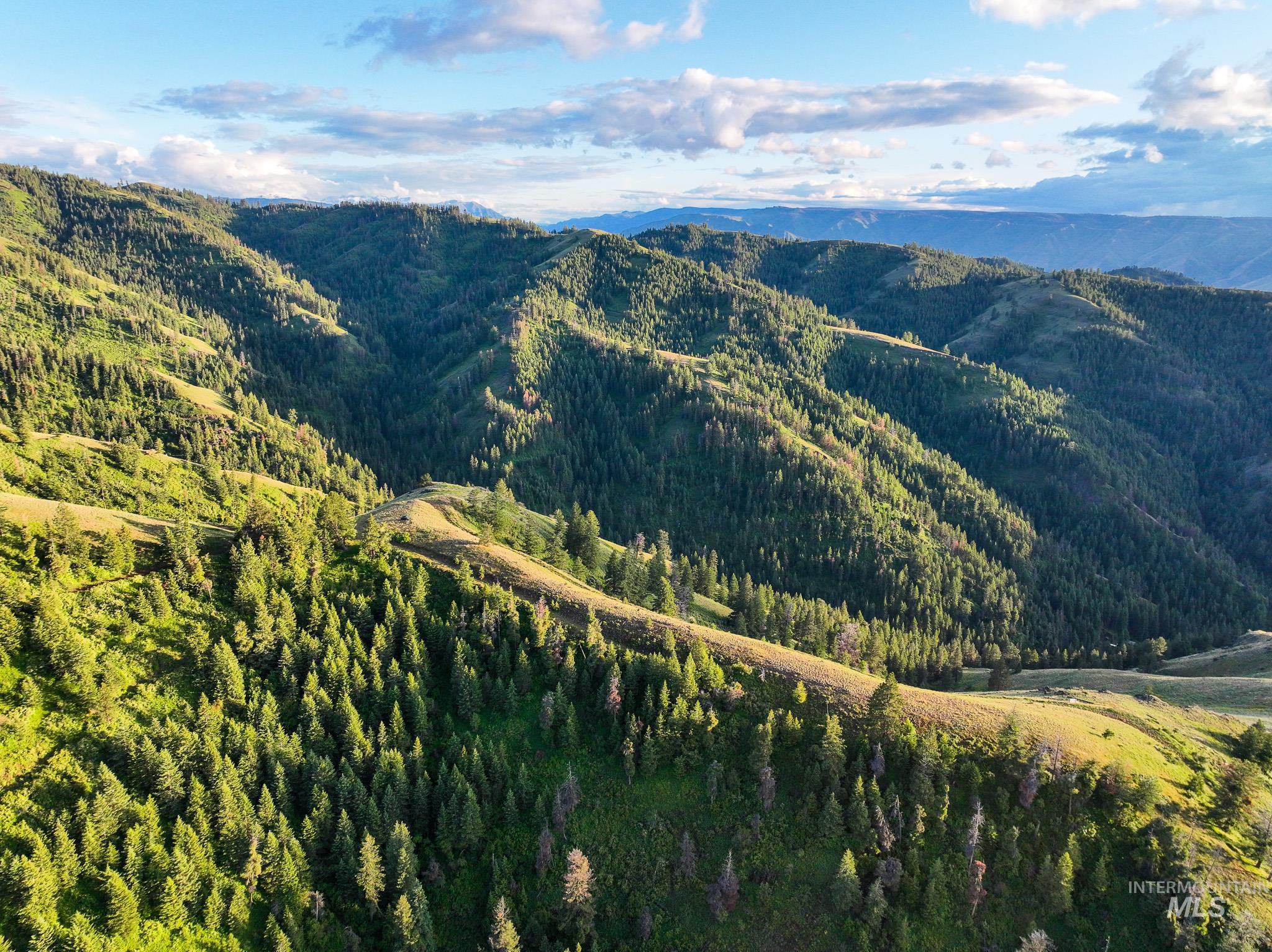 TBD High Range Road, White Bird, Idaho 83554, Land For Sale, Price $497,000, 98929125