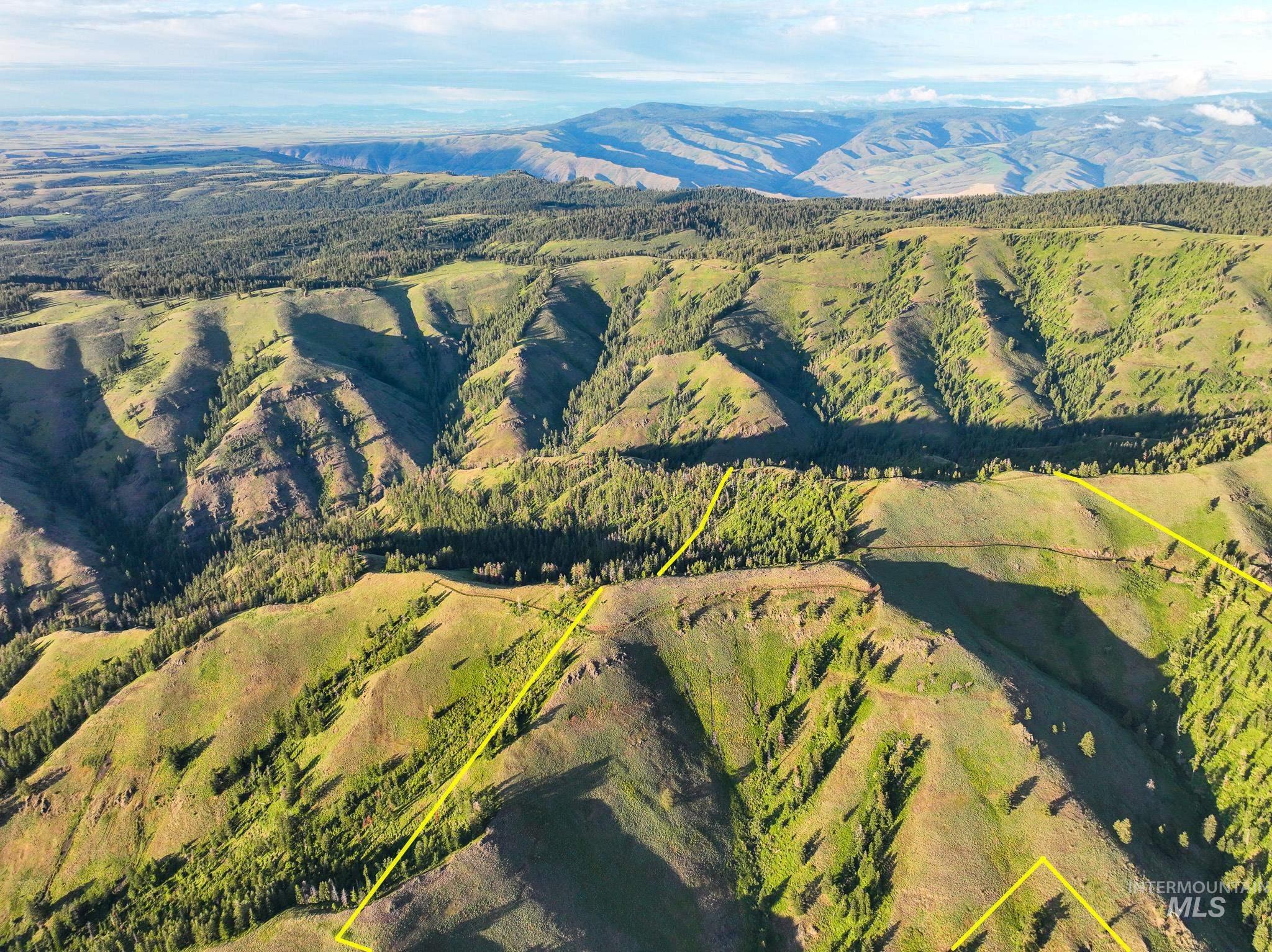 TBD High Range Road, White Bird, Idaho 83554, Land For Sale, Price $497,000, 98929125