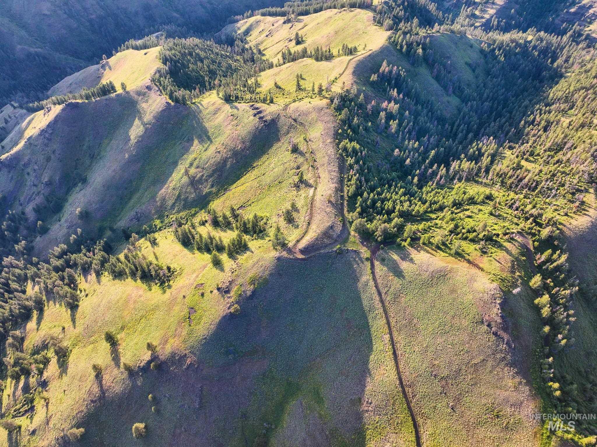 TBD High Range Road, White Bird, Idaho 83554, Land For Sale, Price $497,000, 98929125