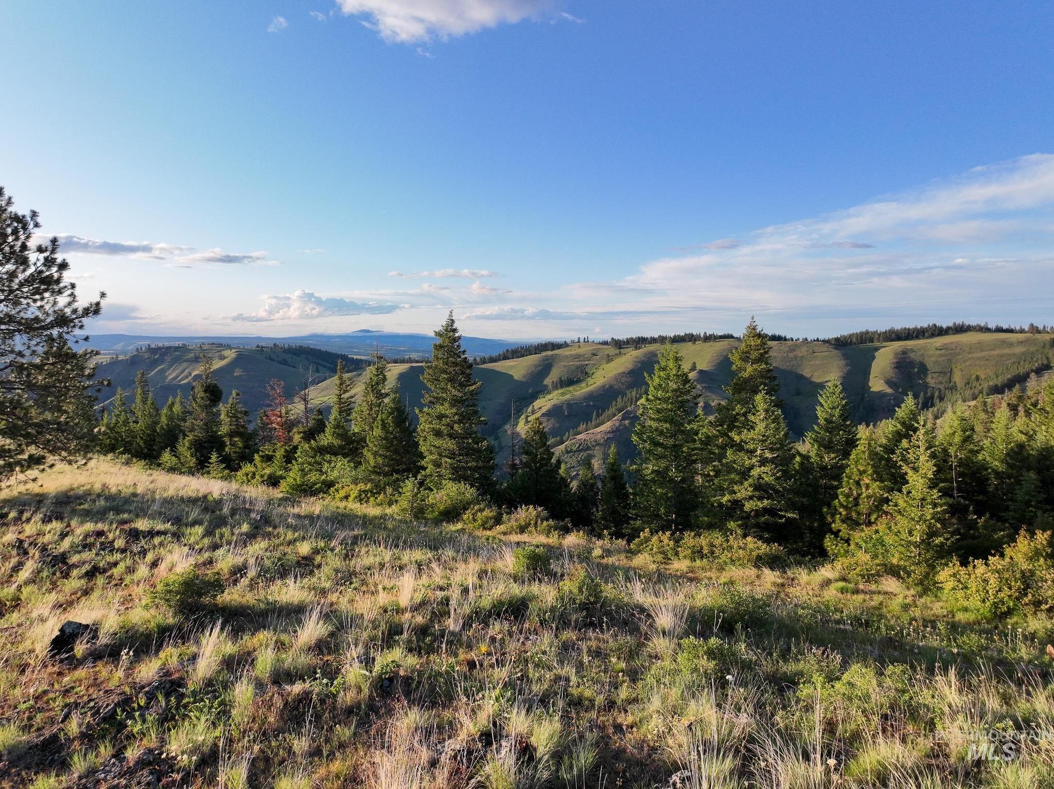 TBD High Range Road, White Bird, Idaho 83554, Land For Sale, Price $497,000, 98929125