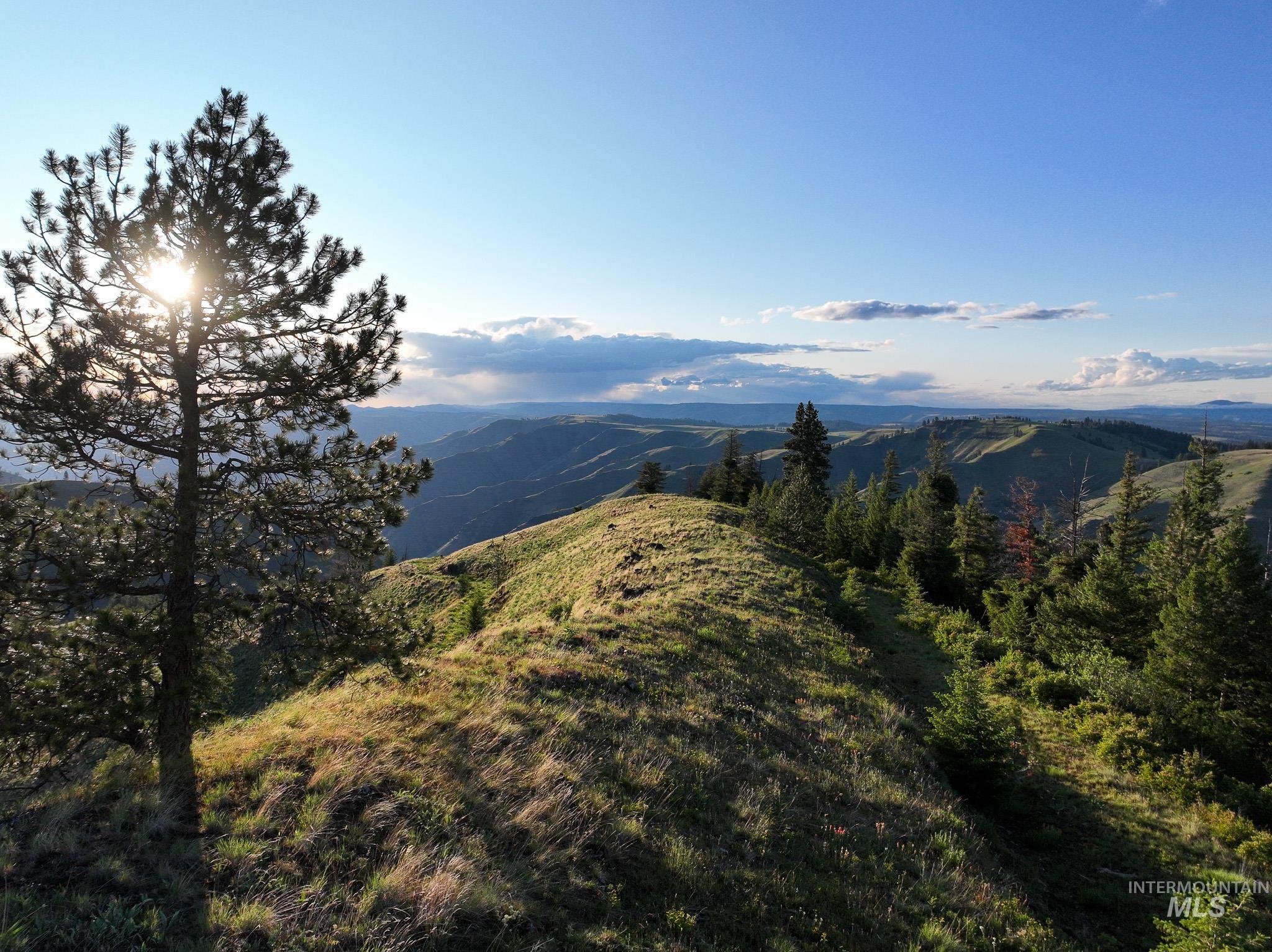 TBD High Range Road, White Bird, Idaho 83554, Land For Sale, Price $497,000, 98929125