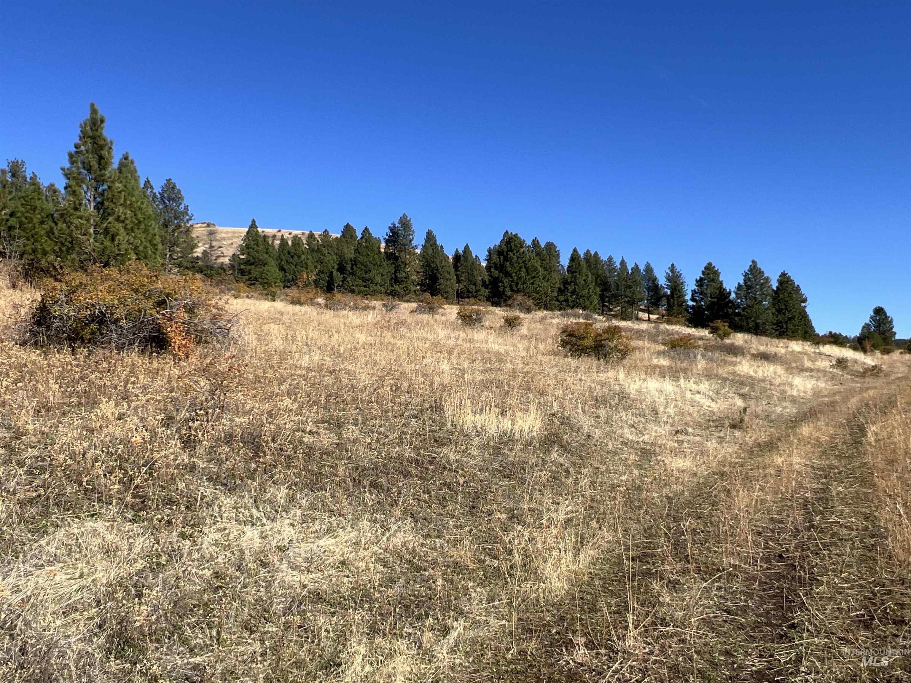 NKA Off Service Flats Road, Grangeville, Idaho 83530, Land For Sale, Price $1,300,000,MLS 98929212