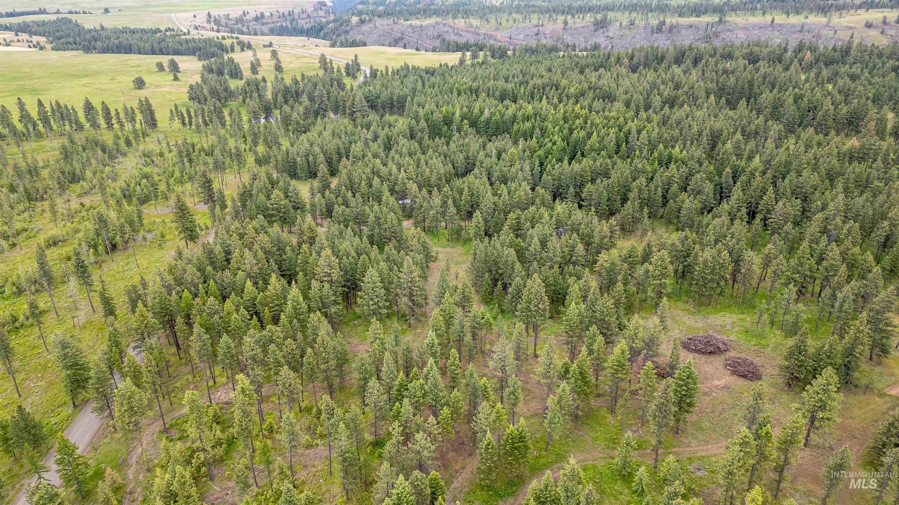 NNA Cloverland, Asotin, Washington 99402, Land For Sale, Price $219,000, 98929360