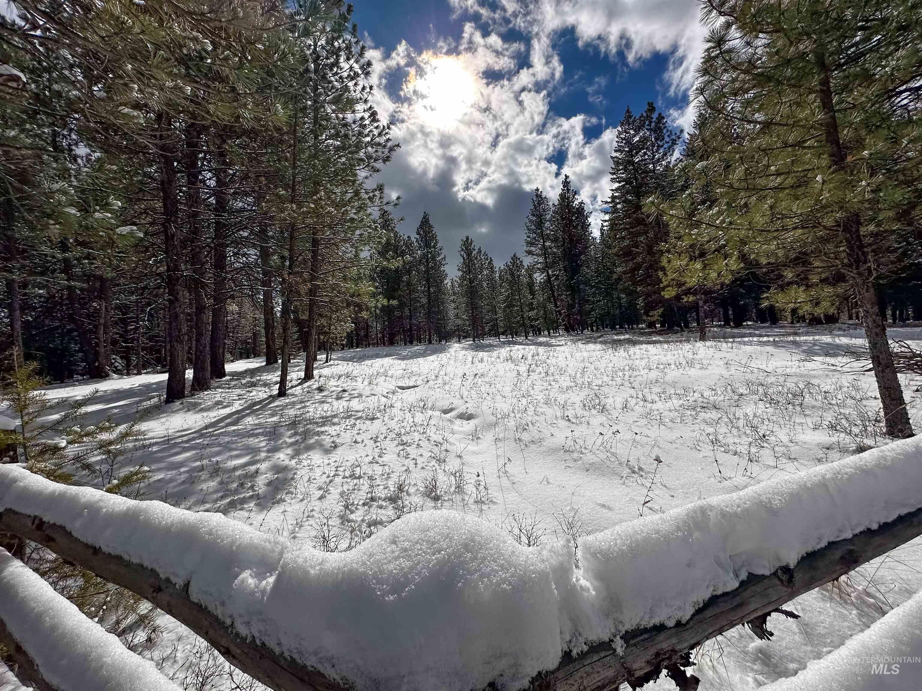 NNA Cloverland, Asotin, Washington 99402, Land For Sale, Price $219,000, 98929360
