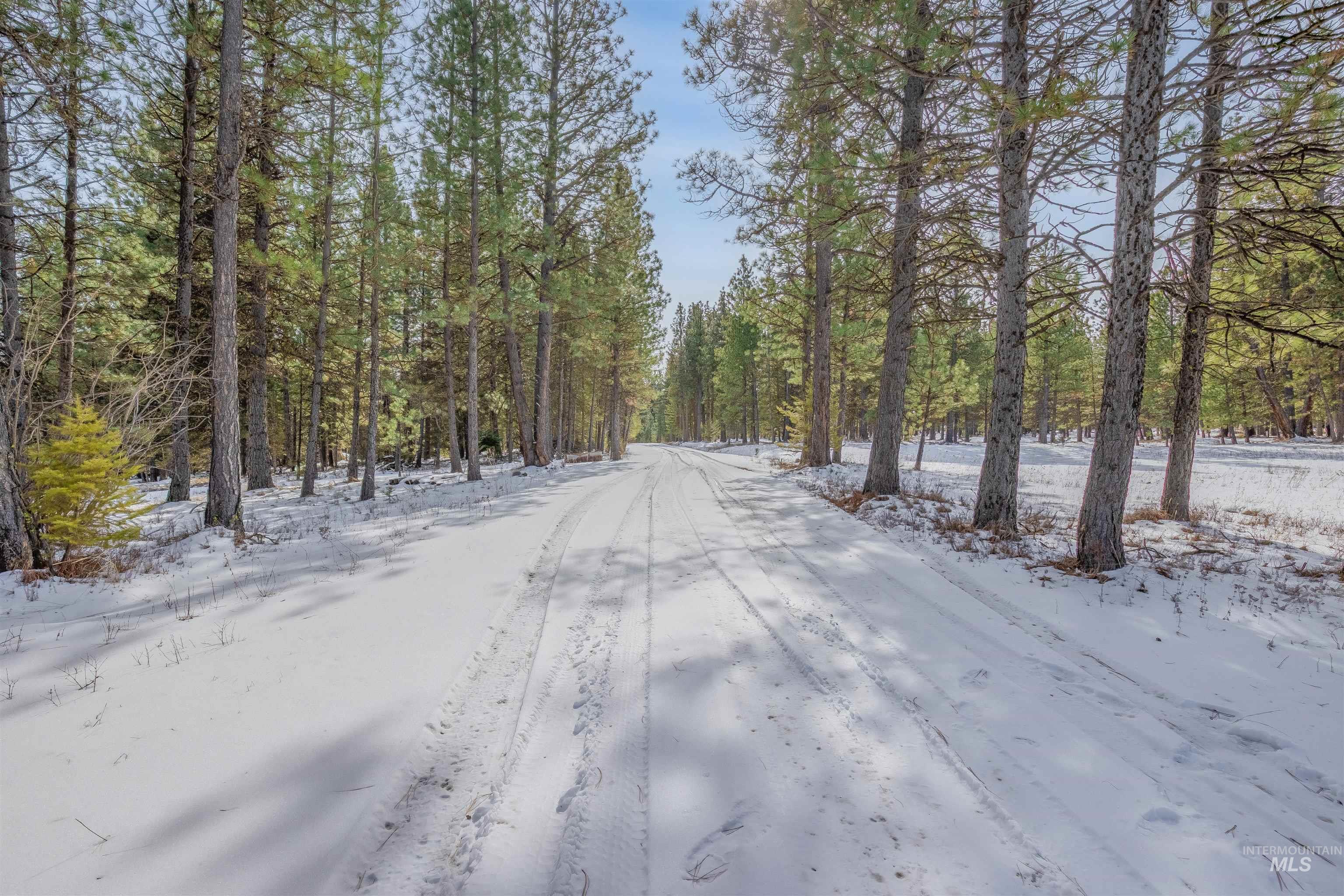 NNA Cloverland, Asotin, Washington 99402, Land For Sale, Price $219,000, 98929360