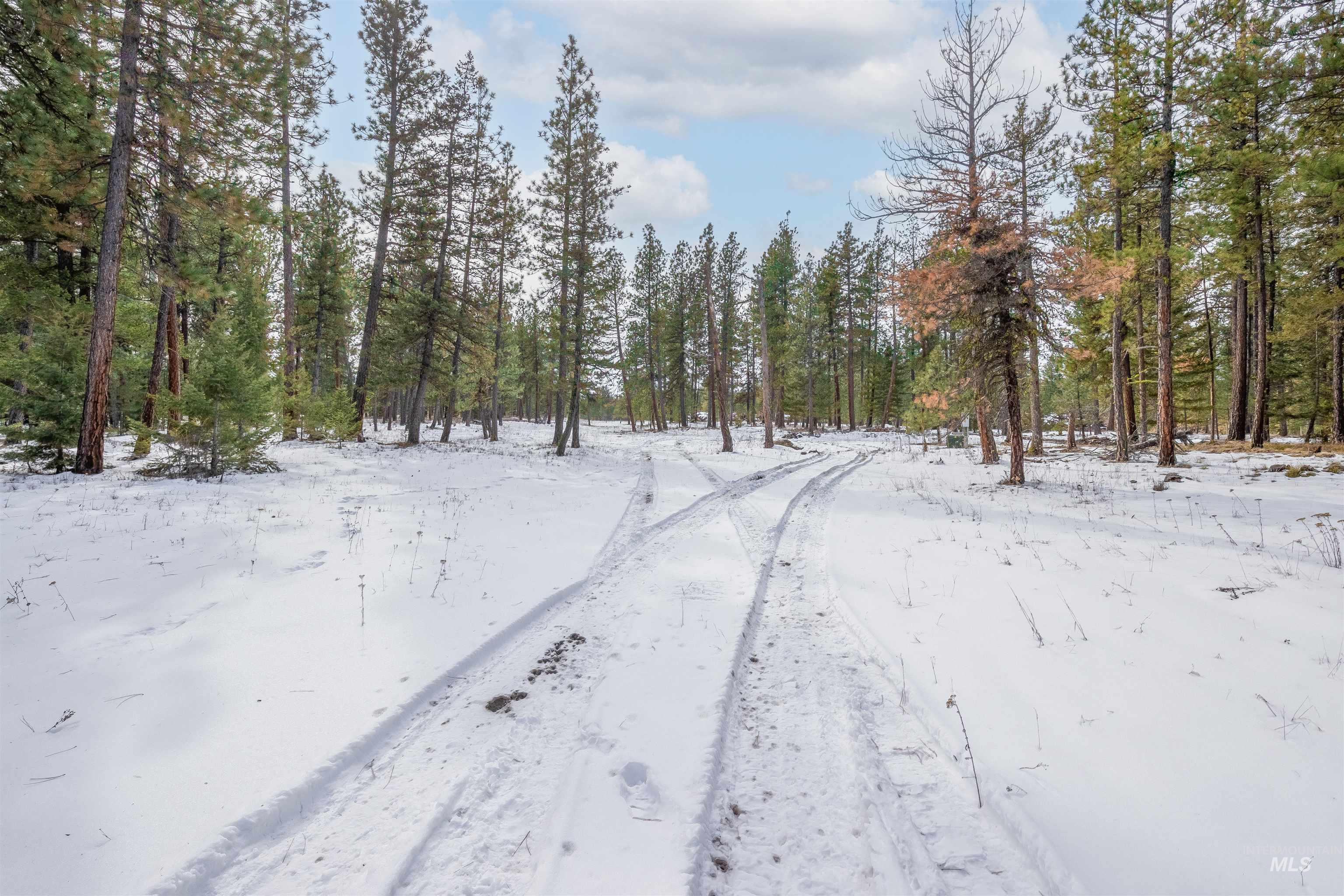 NNA Cloverland, Asotin, Washington 99402, Land For Sale, Price $219,000, 98929360