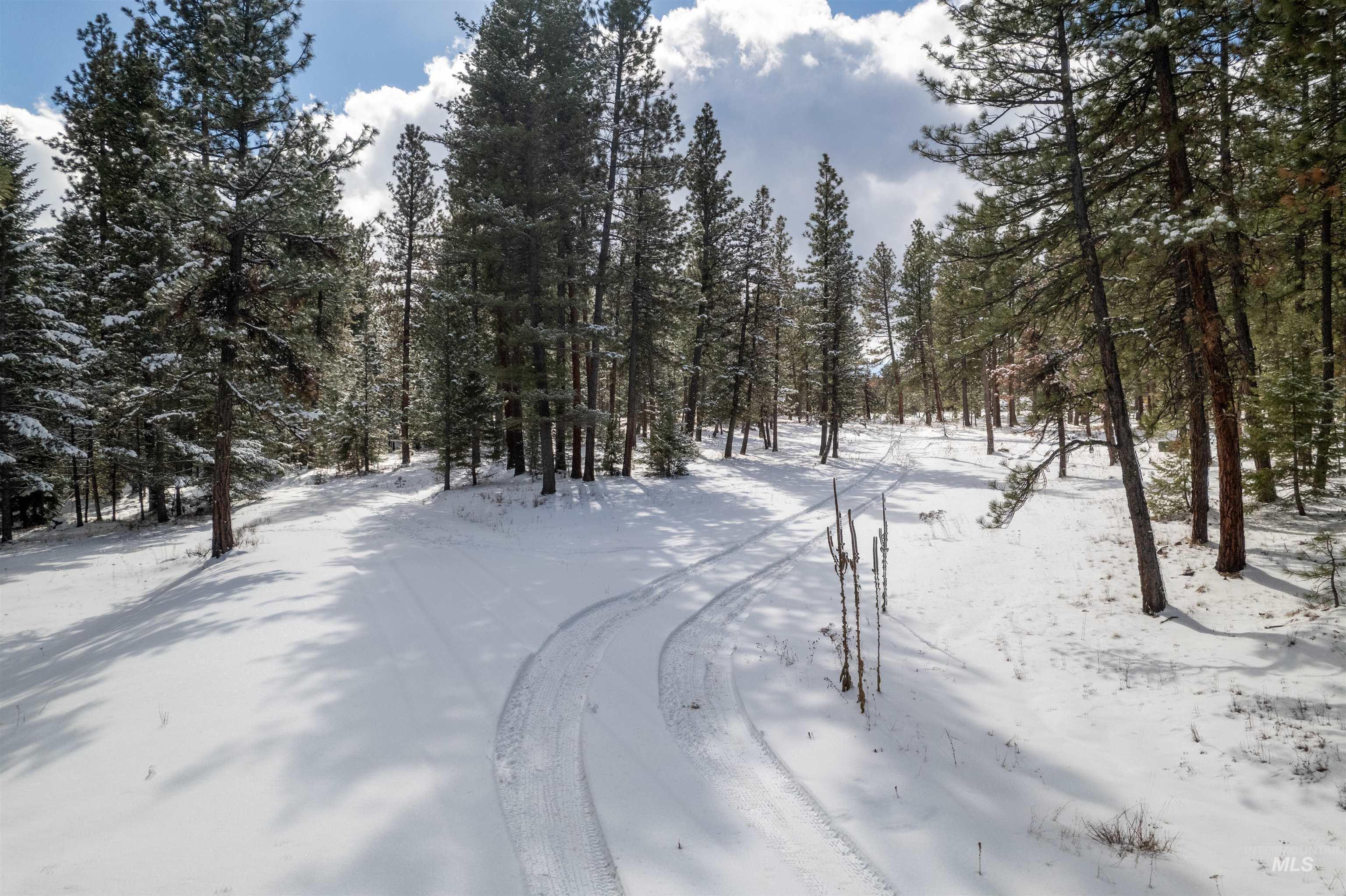 NNA Cloverland, Asotin, Washington 99402, Land For Sale, Price $219,000, 98929360