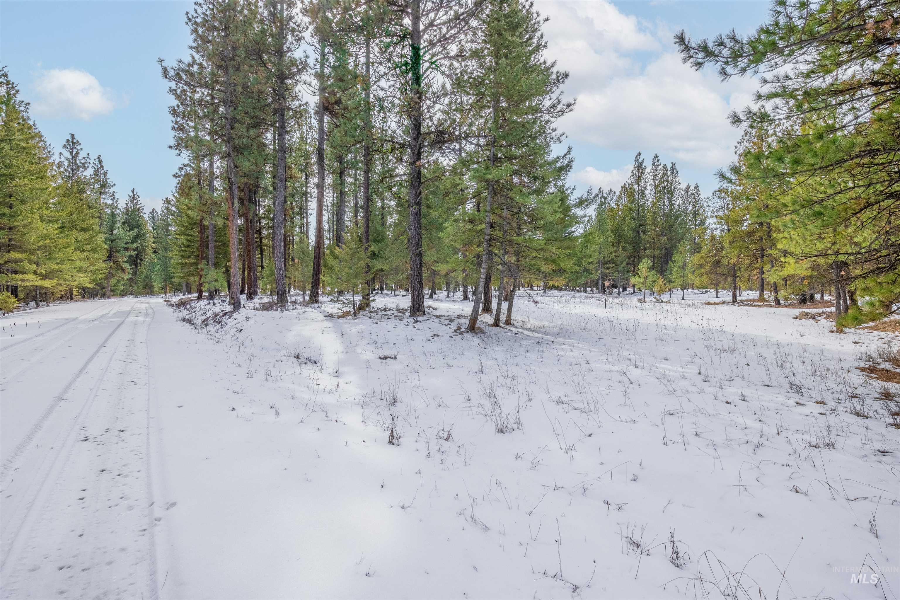 NNA Cloverland, Asotin, Washington 99402, Land For Sale, Price $219,000, 98929360