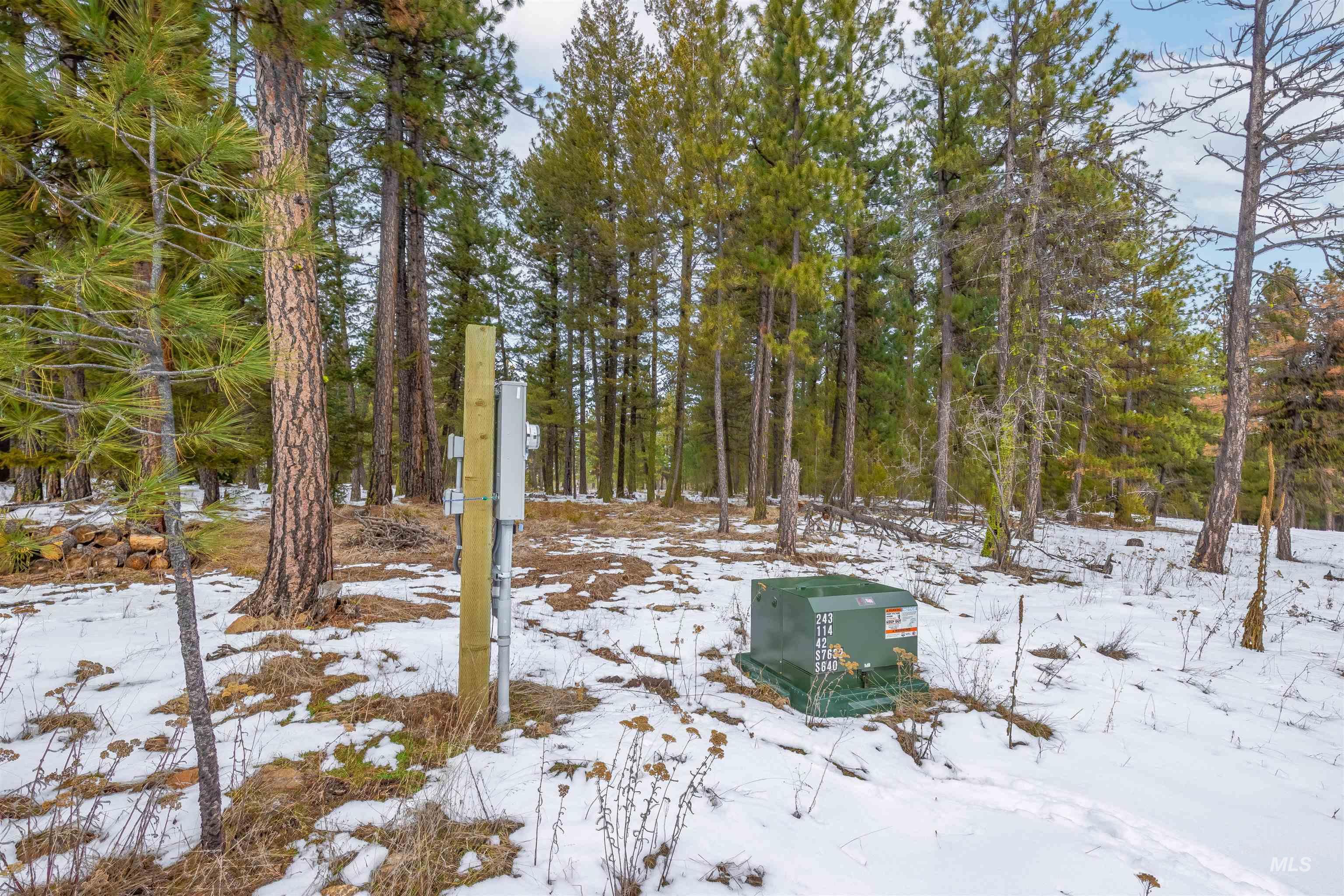 NNA Cloverland, Asotin, Washington 99402, Land For Sale, Price $219,000, 98929360