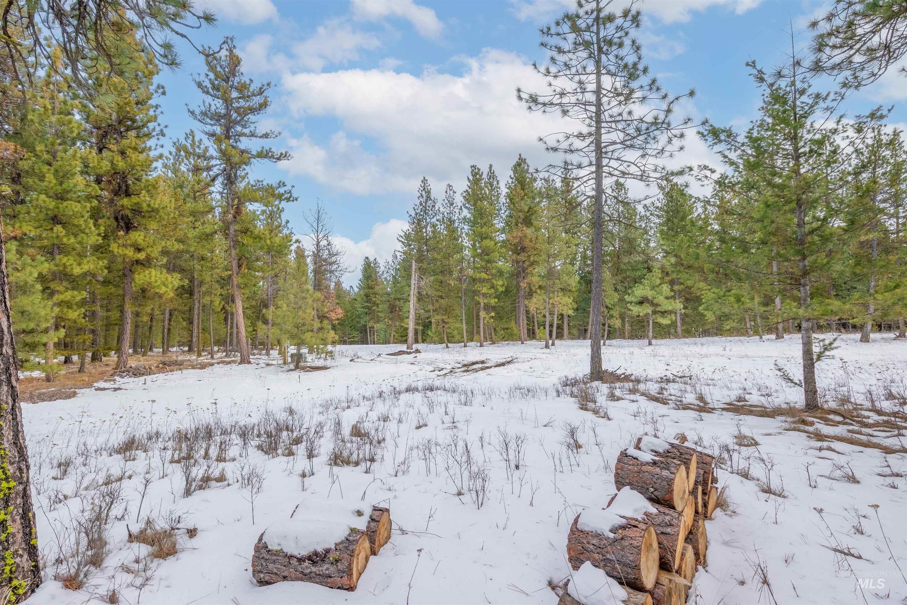 NNA Cloverland, Asotin, Washington 99402, Land For Sale, Price $219,000, 98929360