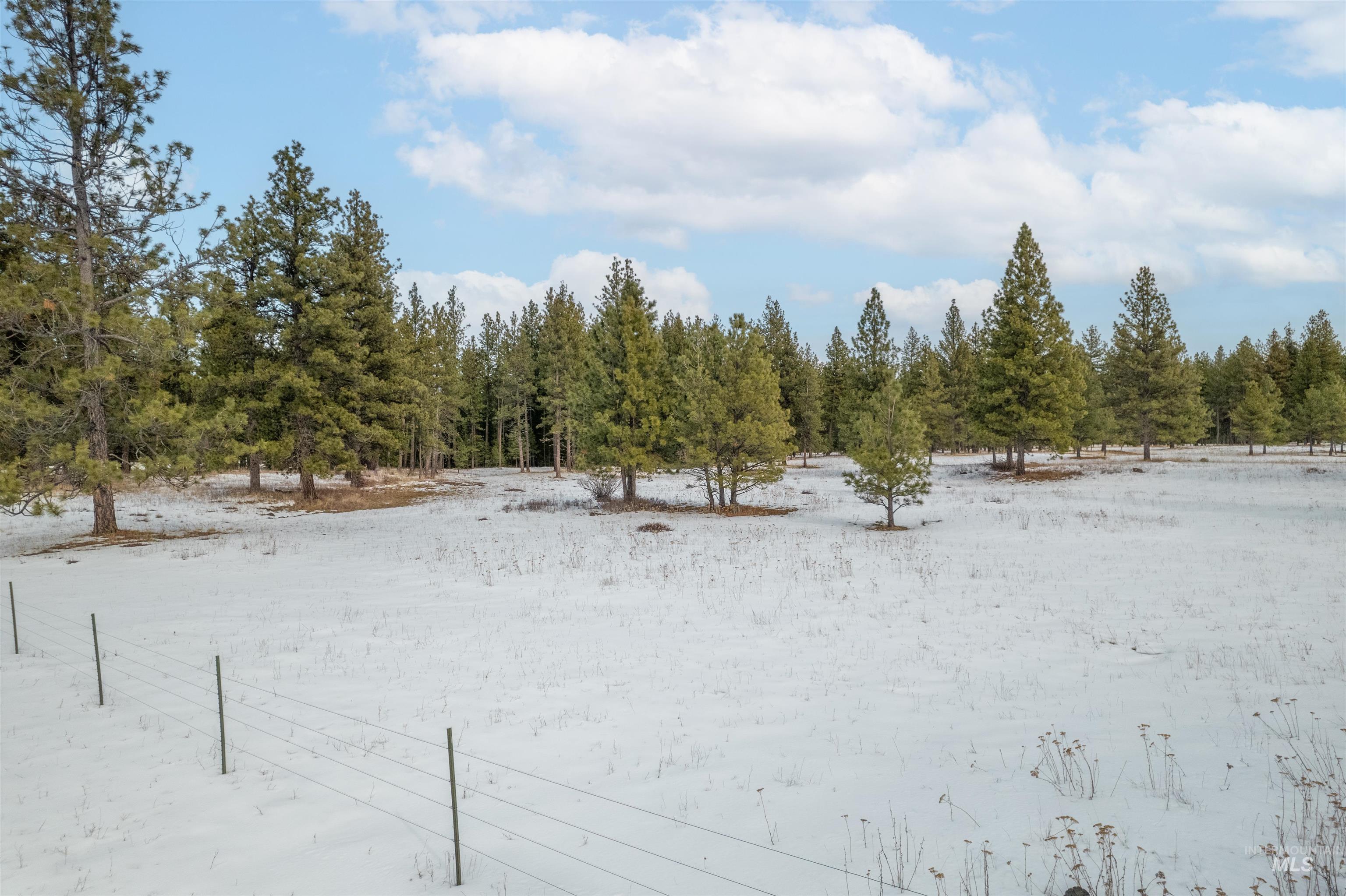 NNA Cloverland, Asotin, Washington 99402, Land For Sale, Price $219,000, 98929360