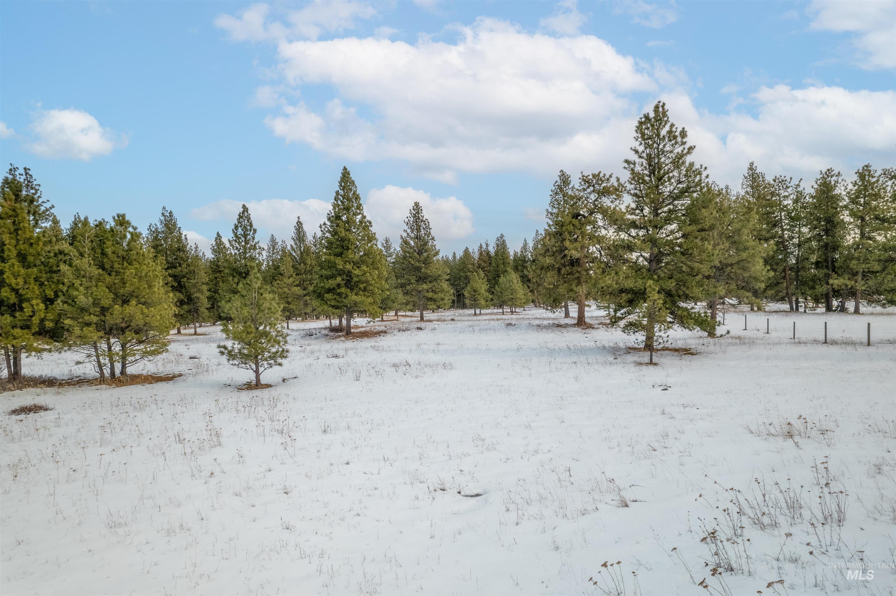 NNA Cloverland, Asotin, Washington 99402, Land For Sale, Price $219,000, 98929360