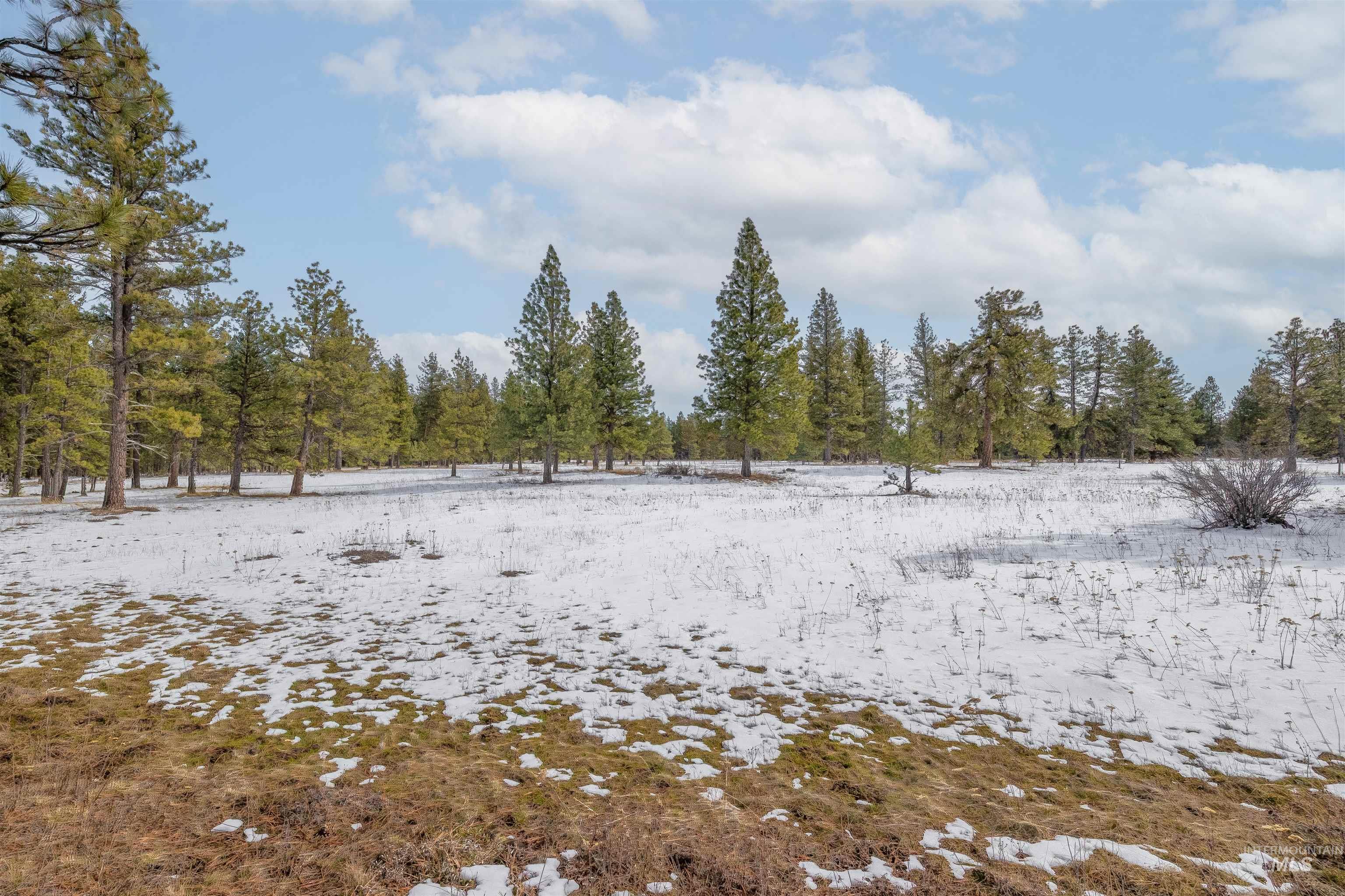 NNA Cloverland, Asotin, Washington 99402, Land For Sale, Price $219,000, 98929360