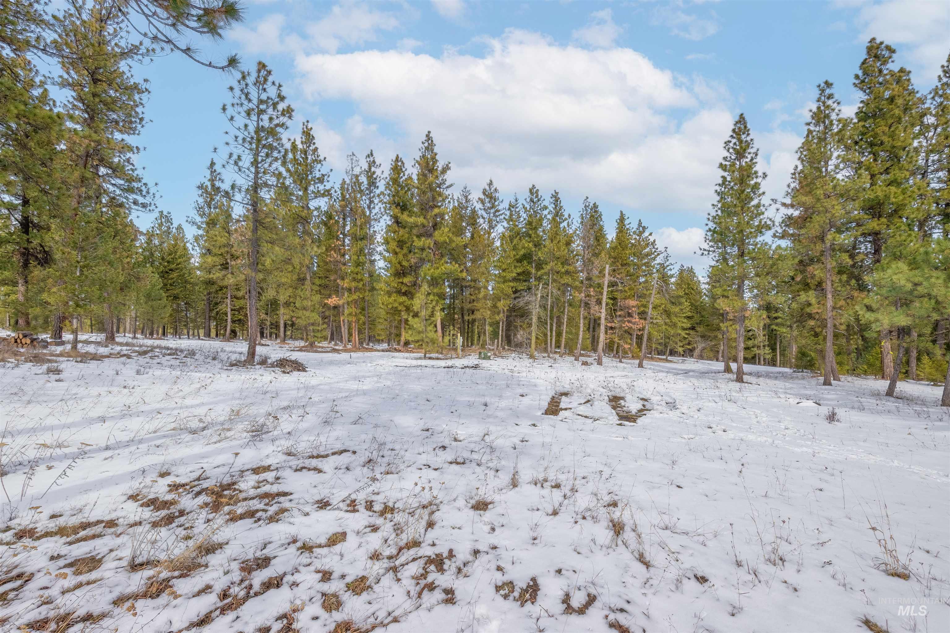 NNA Cloverland, Asotin, Washington 99402, Land For Sale, Price $219,000, 98929360