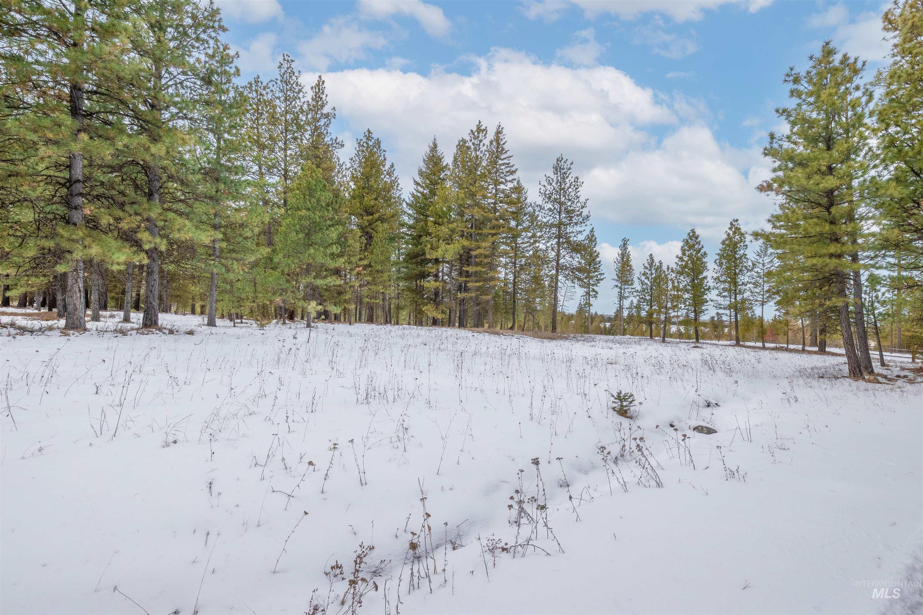 NNA Cloverland, Asotin, Washington 99402, Land For Sale, Price $219,000, 98929360