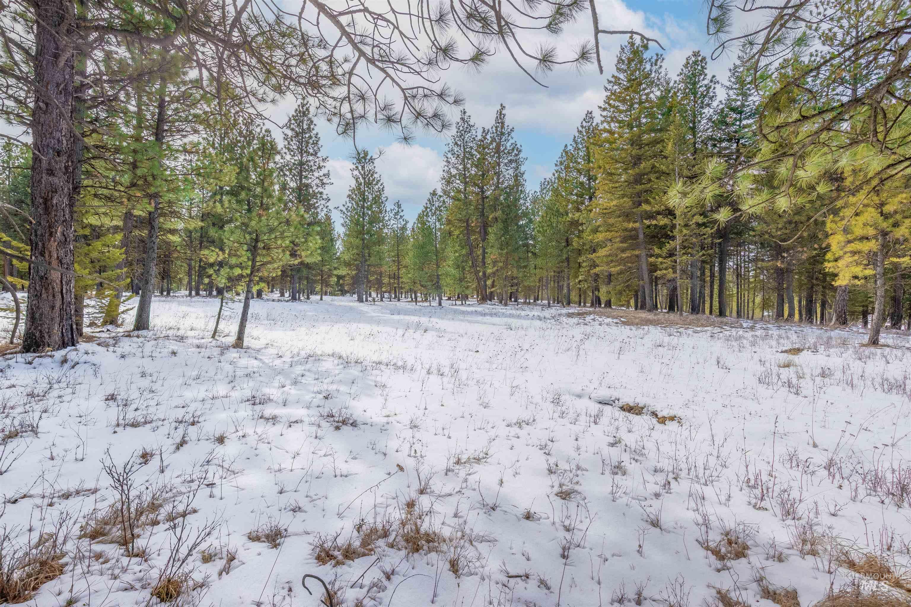 NNA Cloverland, Asotin, Washington 99402, Land For Sale, Price $219,000, 98929360