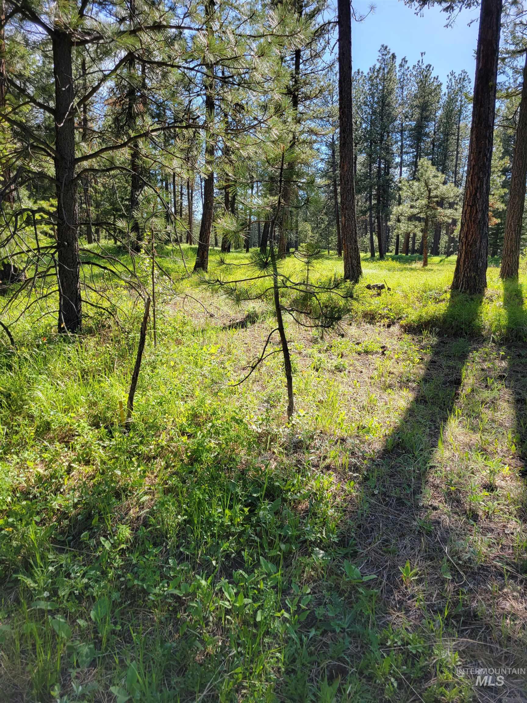 NNA Cloverland, Asotin, Washington 99402, Land For Sale, Price $219,000, 98929360