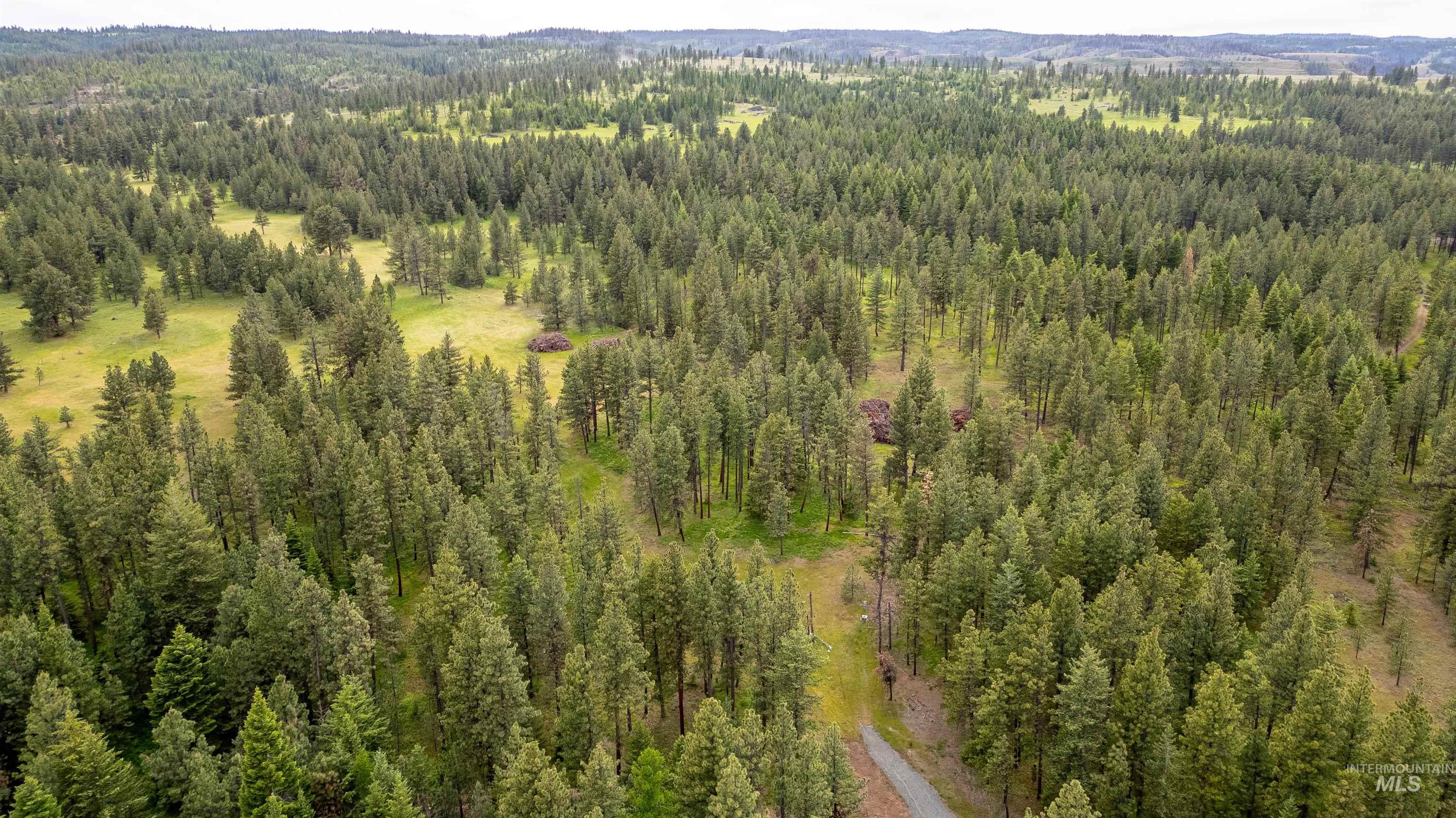 NNA Cloverland, Asotin, Washington 99402, Land For Sale, Price $219,000, 98929360